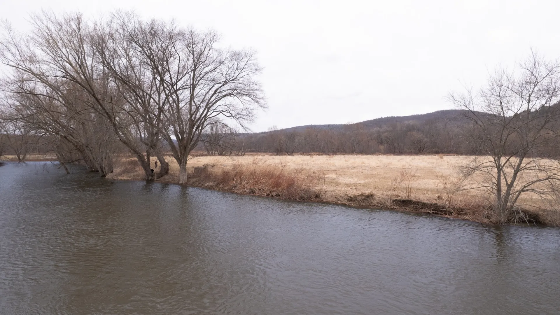 Property at 821 State Line Rd, Windsor, NY 13865 18