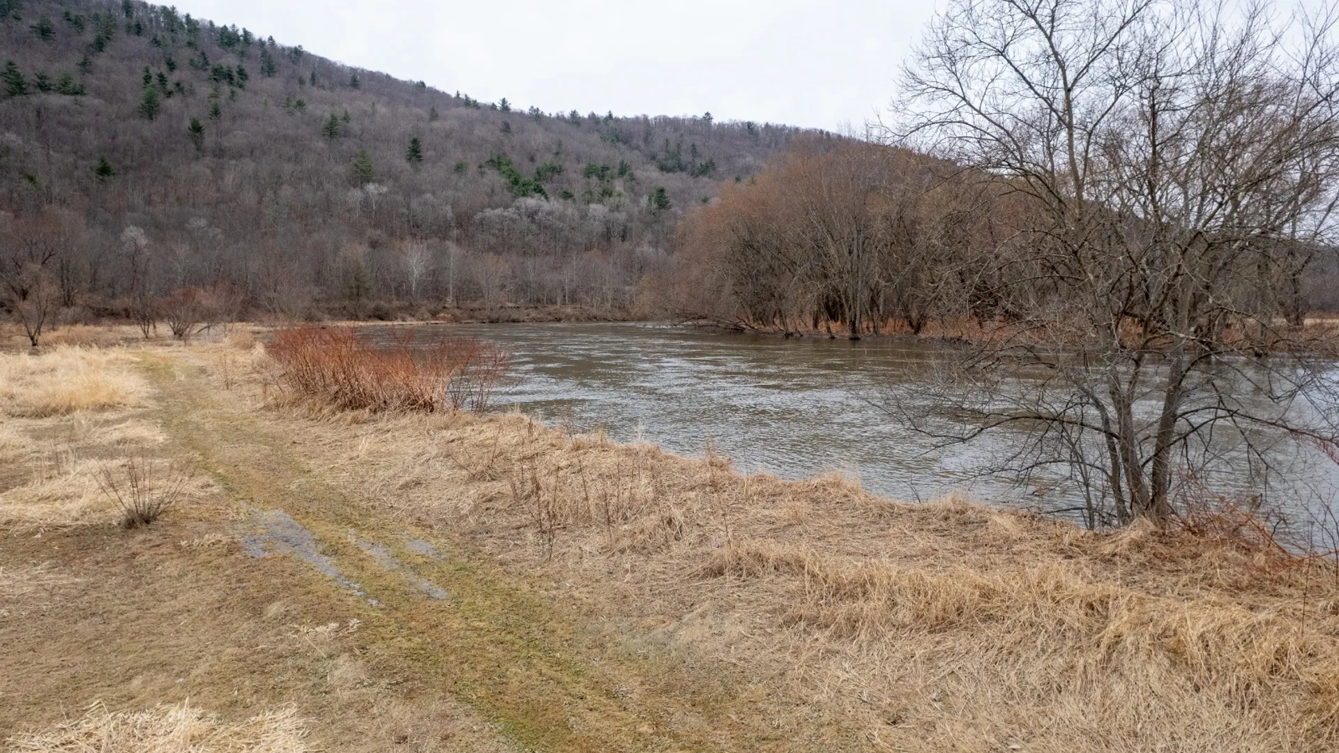 Property at 821 State Line Rd, Windsor, NY 13865 19