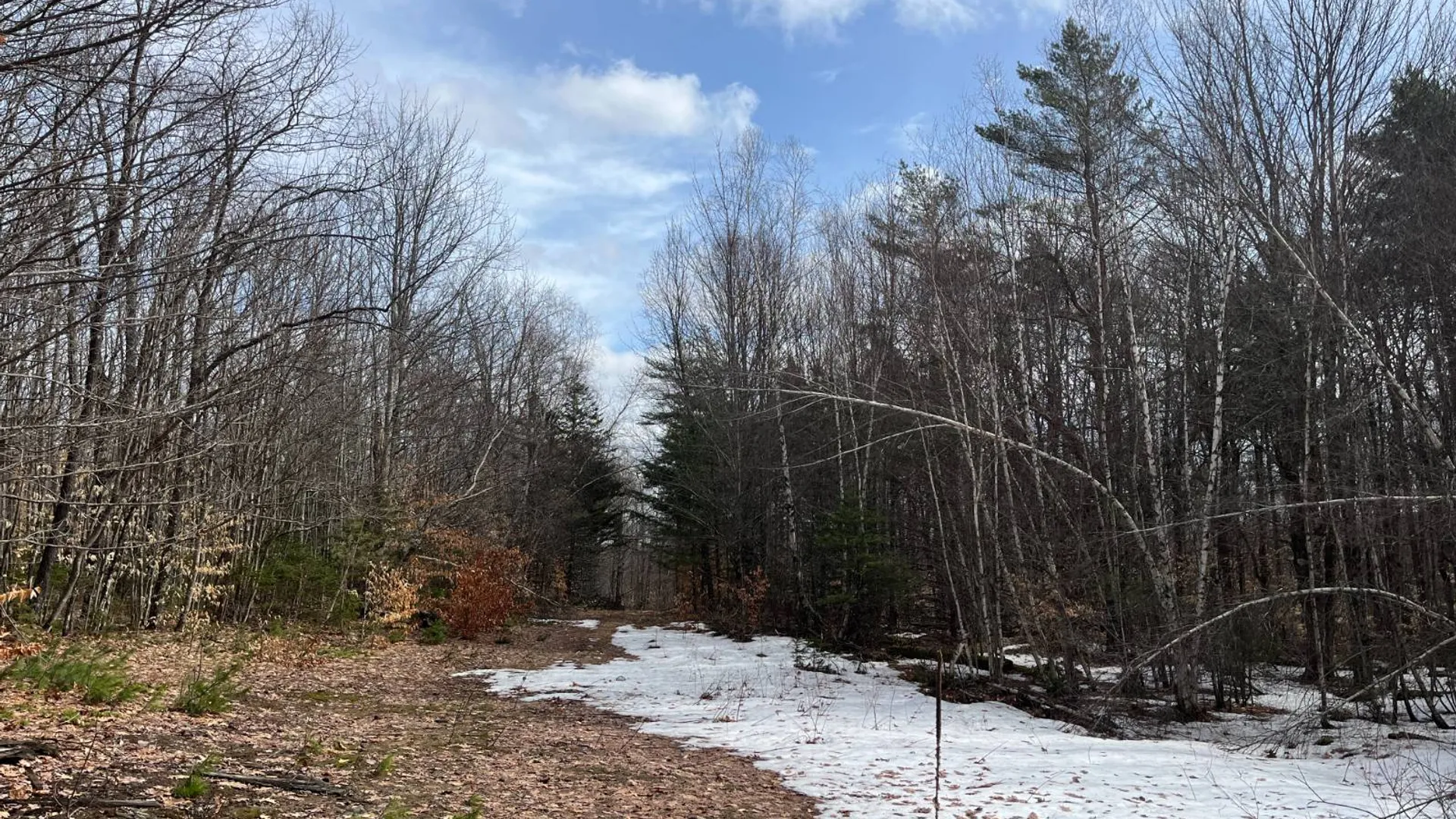 Property at 00 Blackmer Road, Russell, NY 13684 16