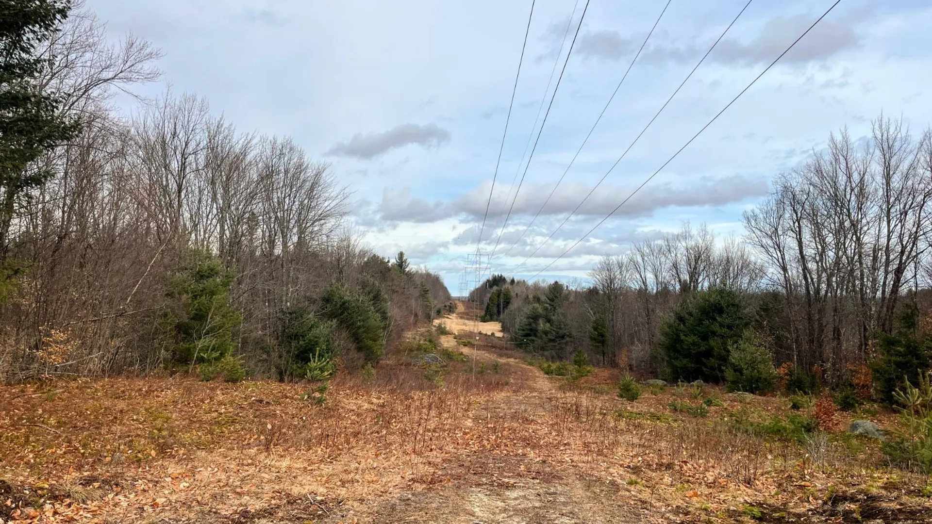 Property at 00 Blackmer Road, Russell, NY 13684 19