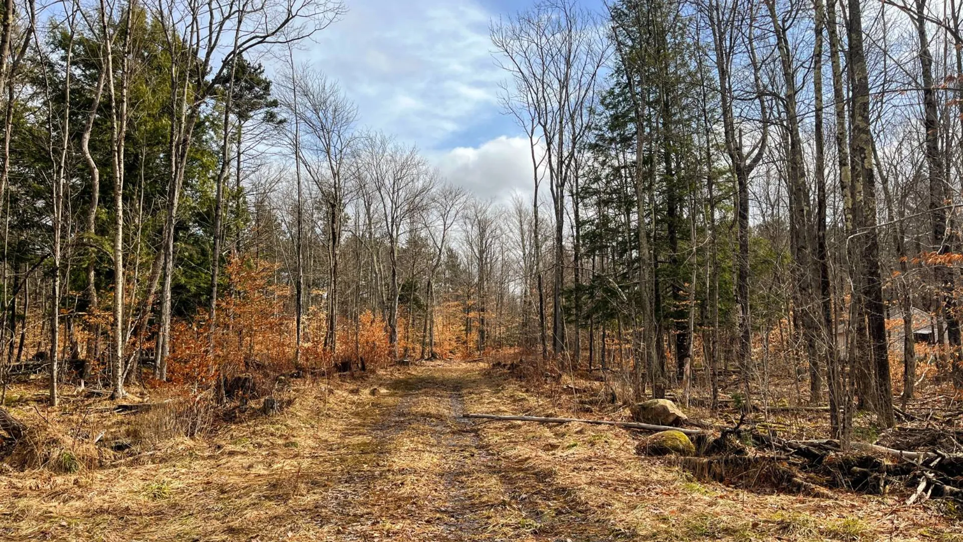 Property at 00 Blackmer Road, Russell, NY 13684 2