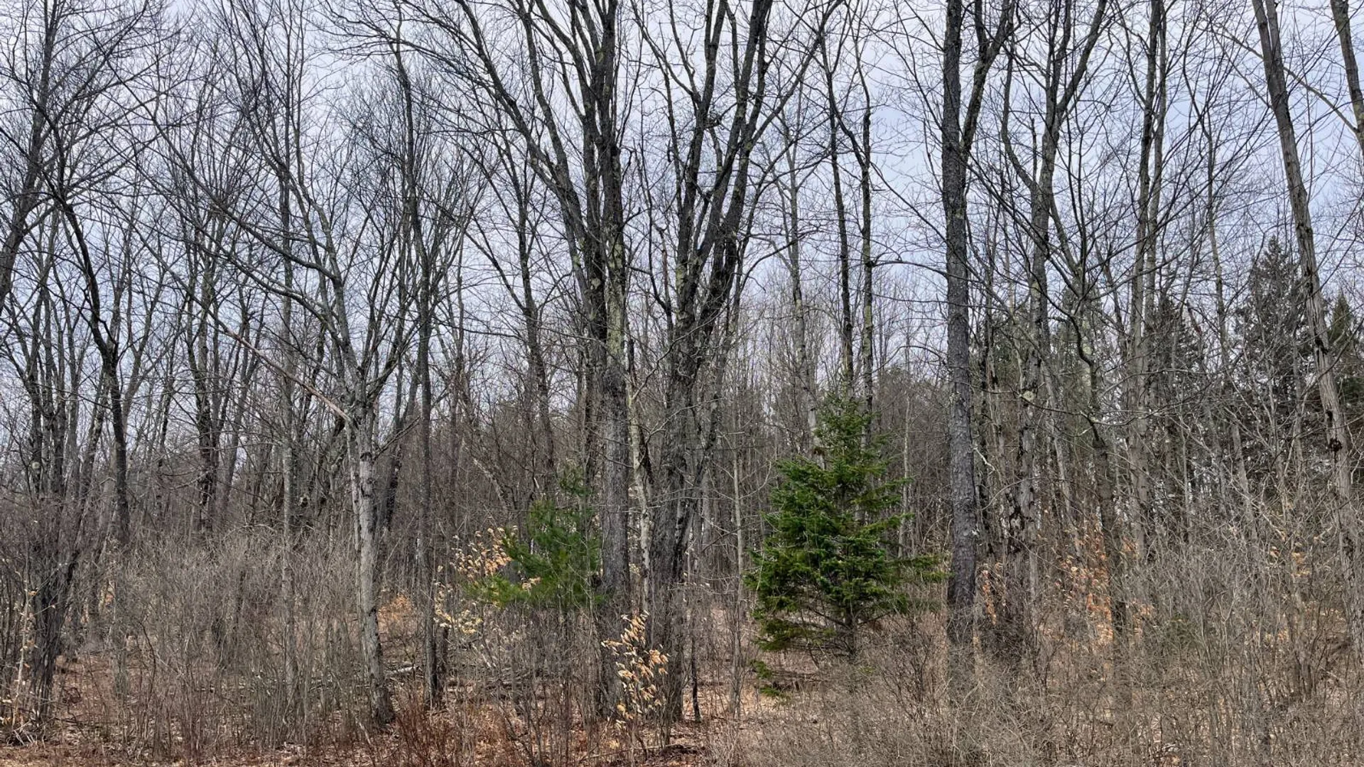 Property at 00 Blackmer Road, Russell, NY 13684 21