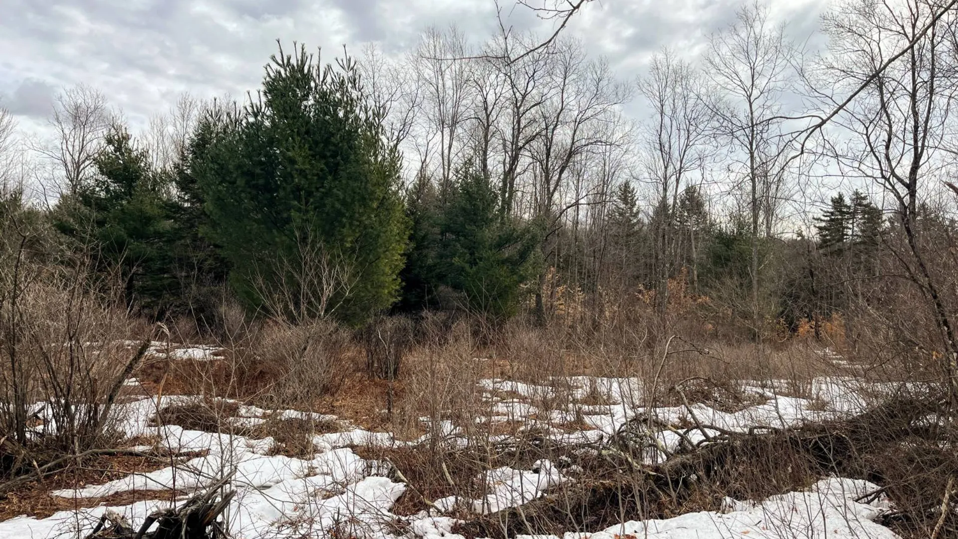 Property at 00 Blackmer Road, Russell, NY 13684 23