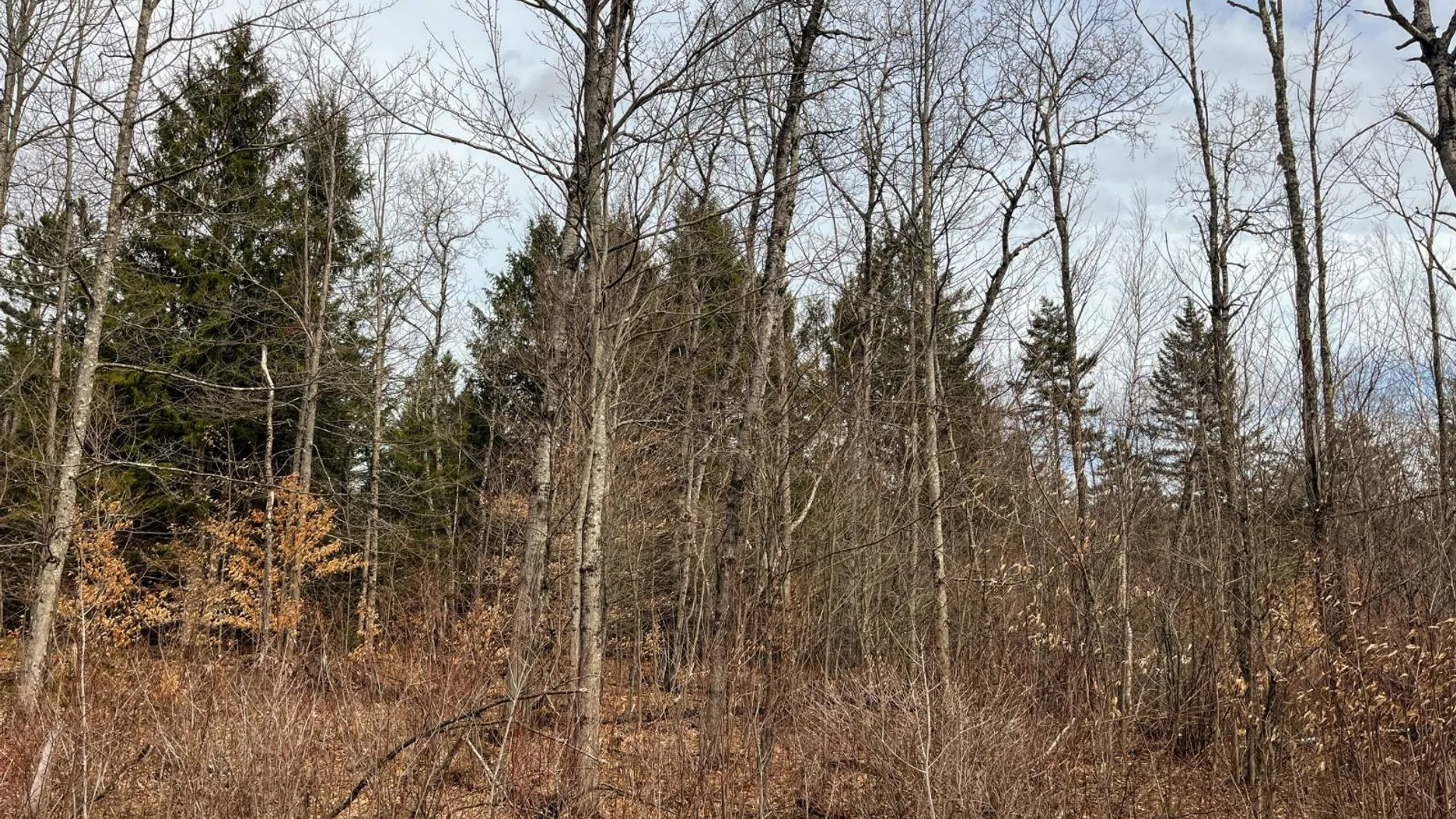 Property at 00 Blackmer Road, Russell, NY 13684 24