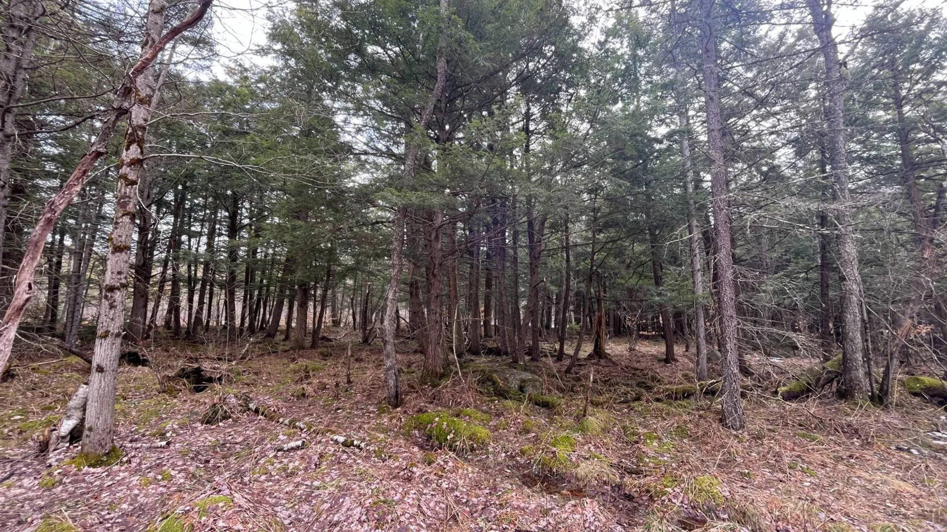 Property at 00 Blackmer Road, Russell, NY 13684 25
