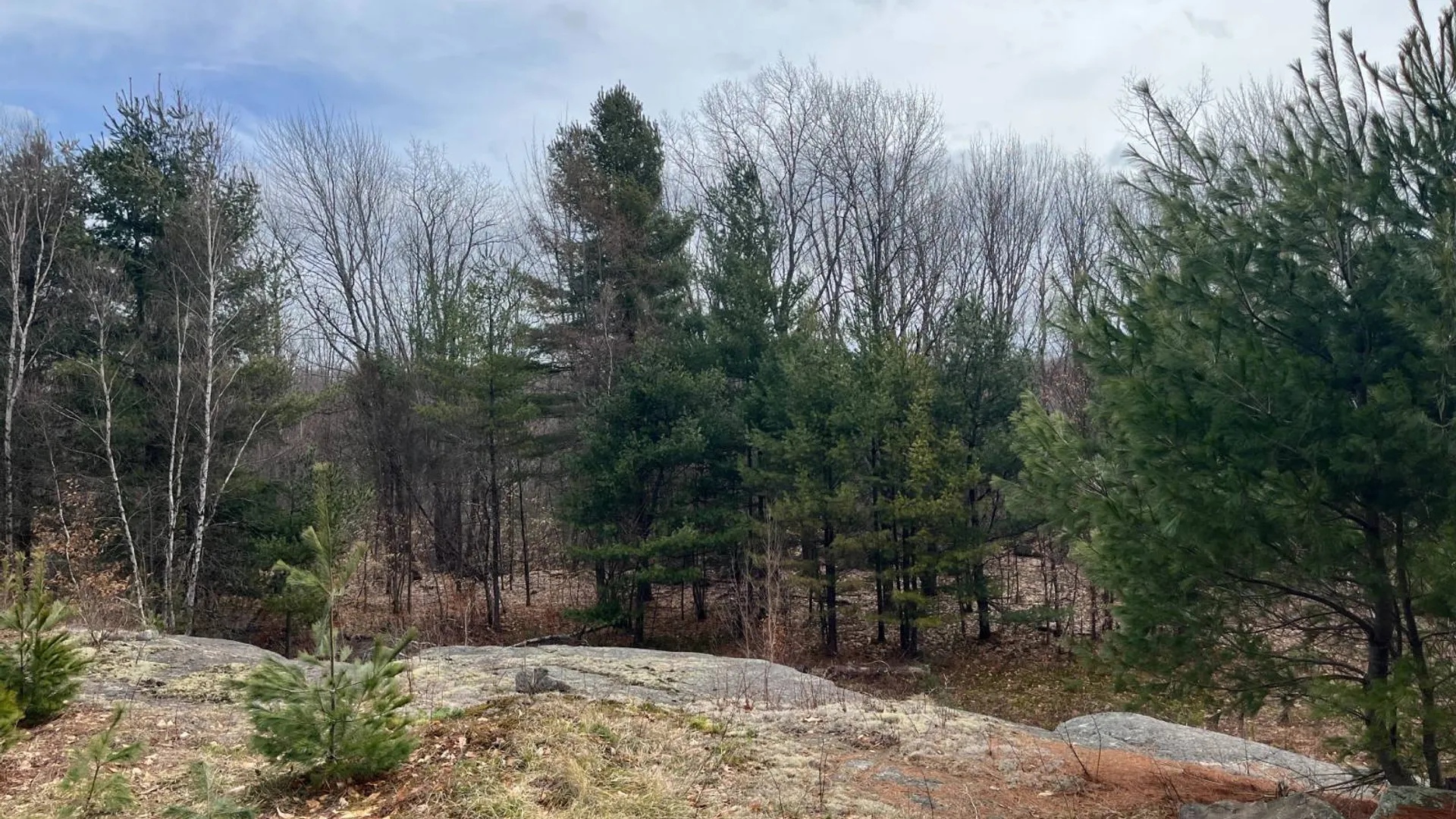 Property at 00 Blackmer Road, Russell, NY 13684 26
