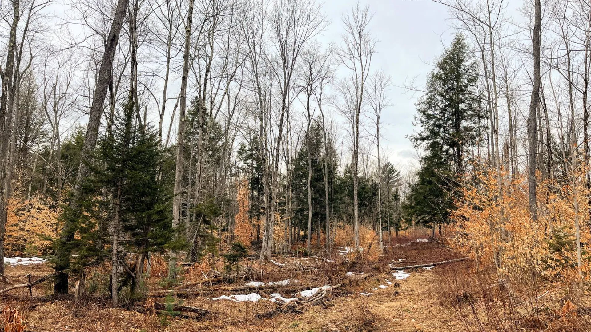 Property at 00 Blackmer Road, Russell, NY 13684 27