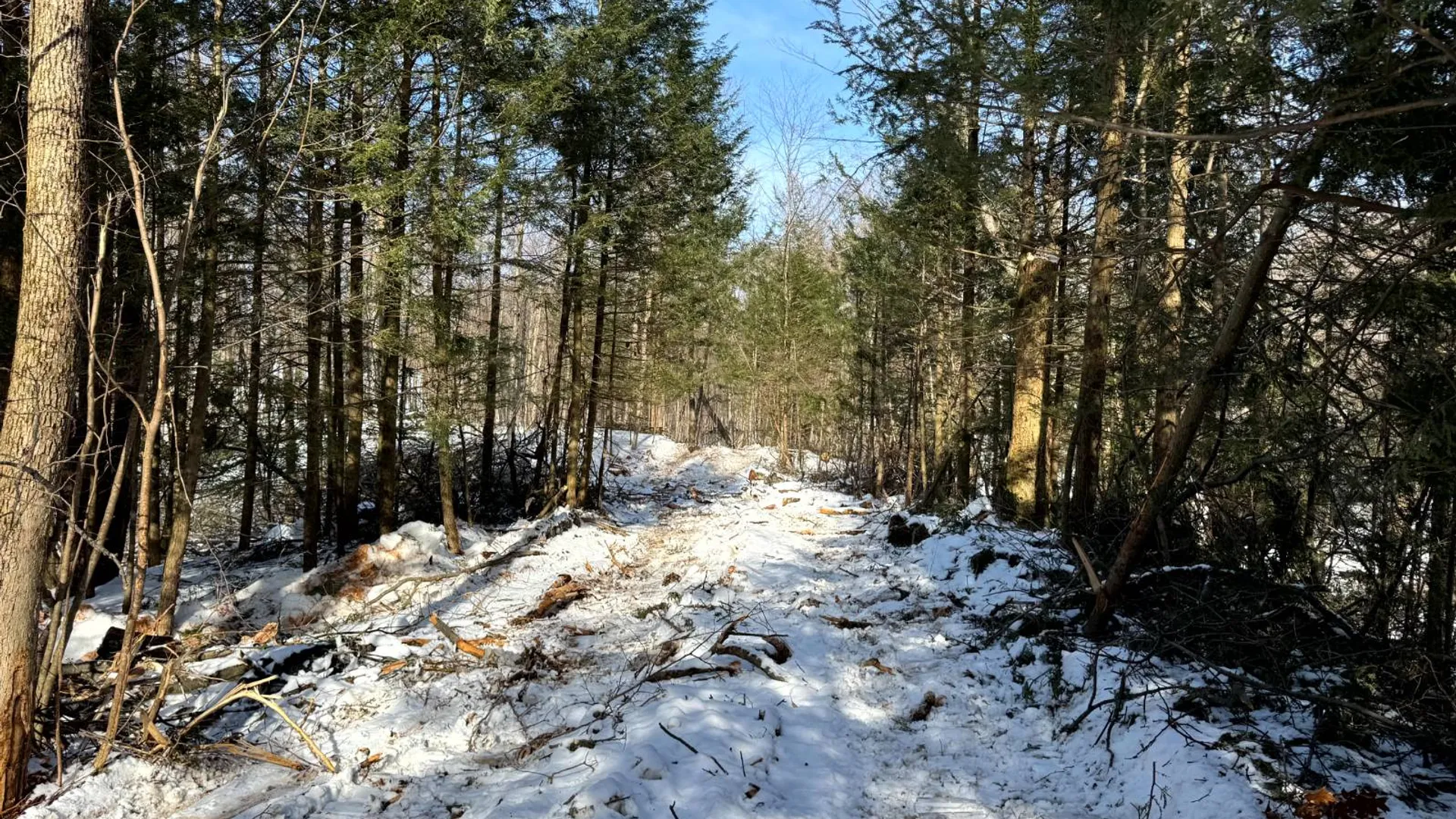 Property at 1.13 Wart Rd., Orwell, NY 13426 15