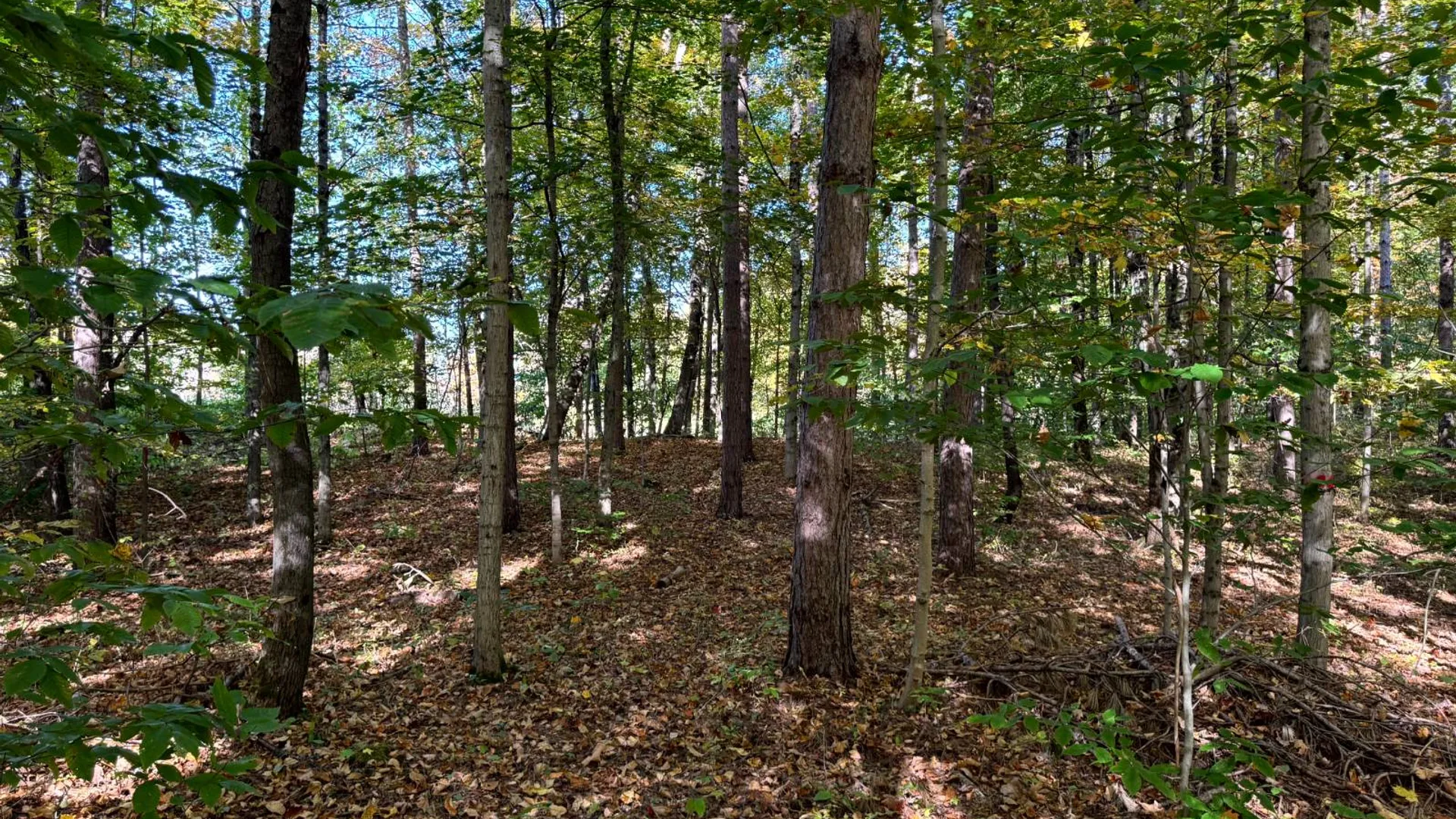 Property at 1.13 Wart Rd., Orwell, NY 13426 19