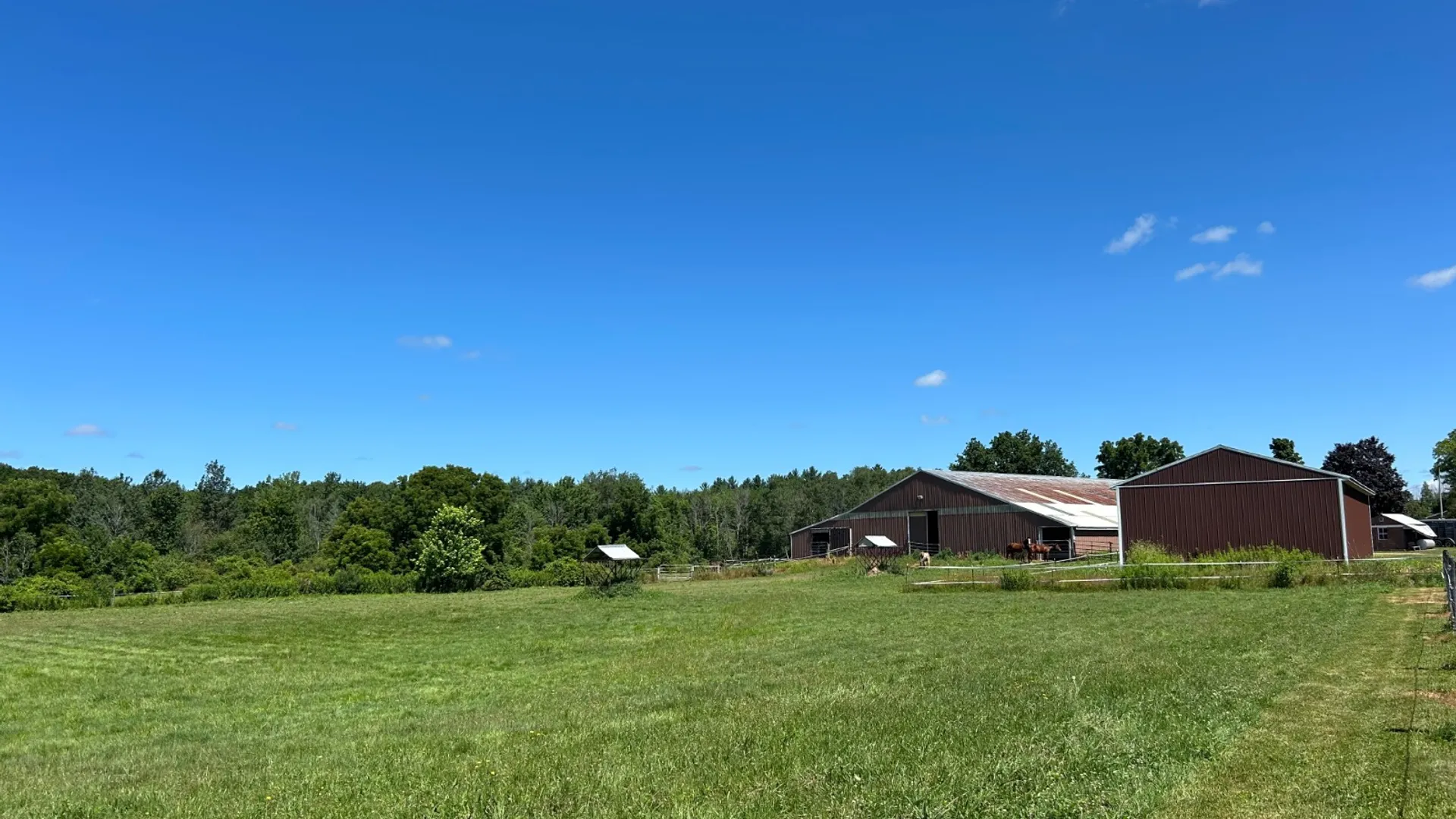Property at 377 Chesbro Road, Pennellville, NY 13132 45
