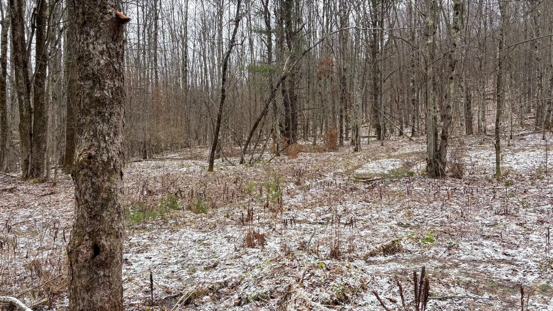 Property at 154 Walker Rd, Nineveh, NY 13813 13