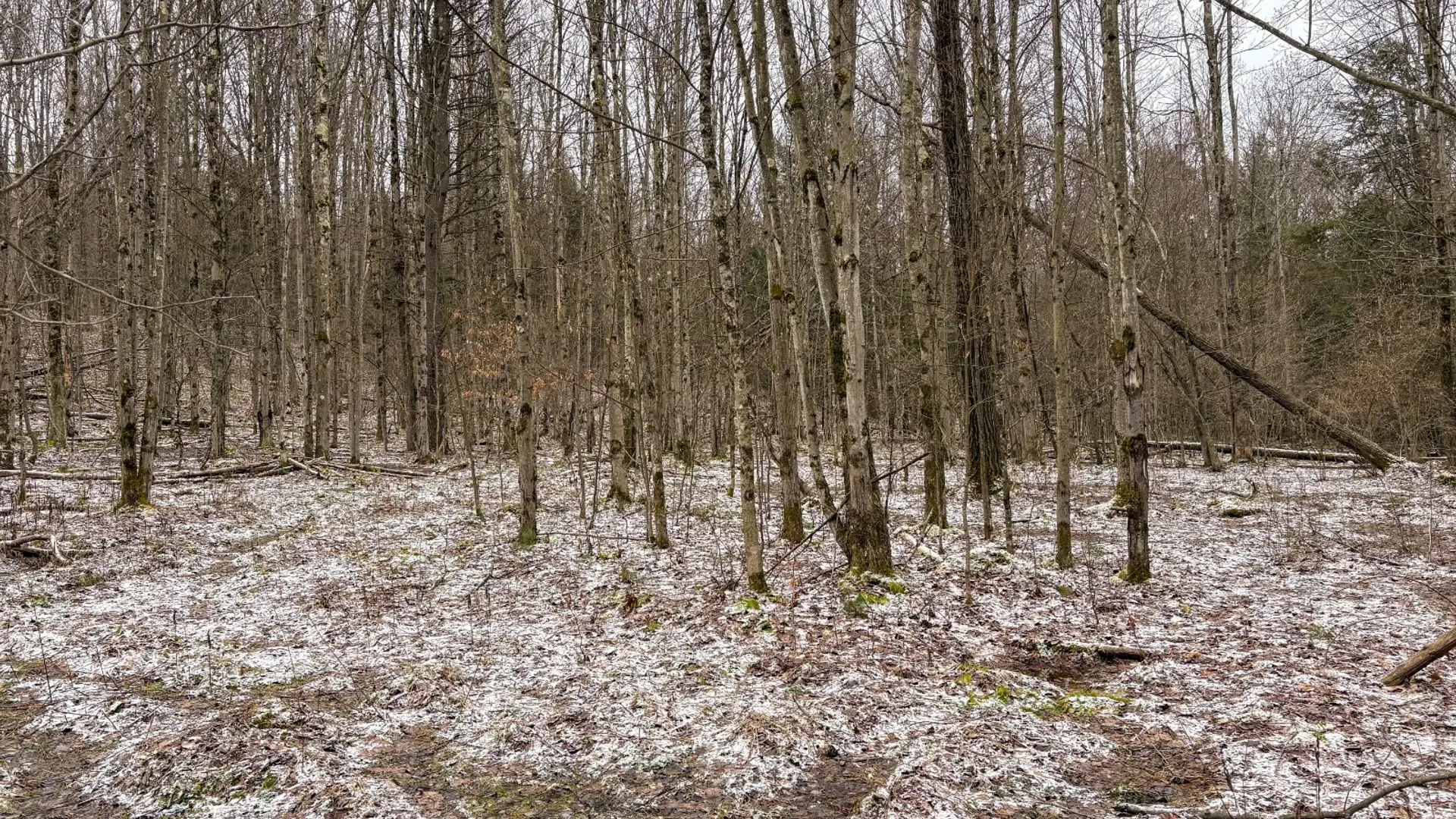 Property at 154 Walker Rd, Nineveh, NY 13813 14