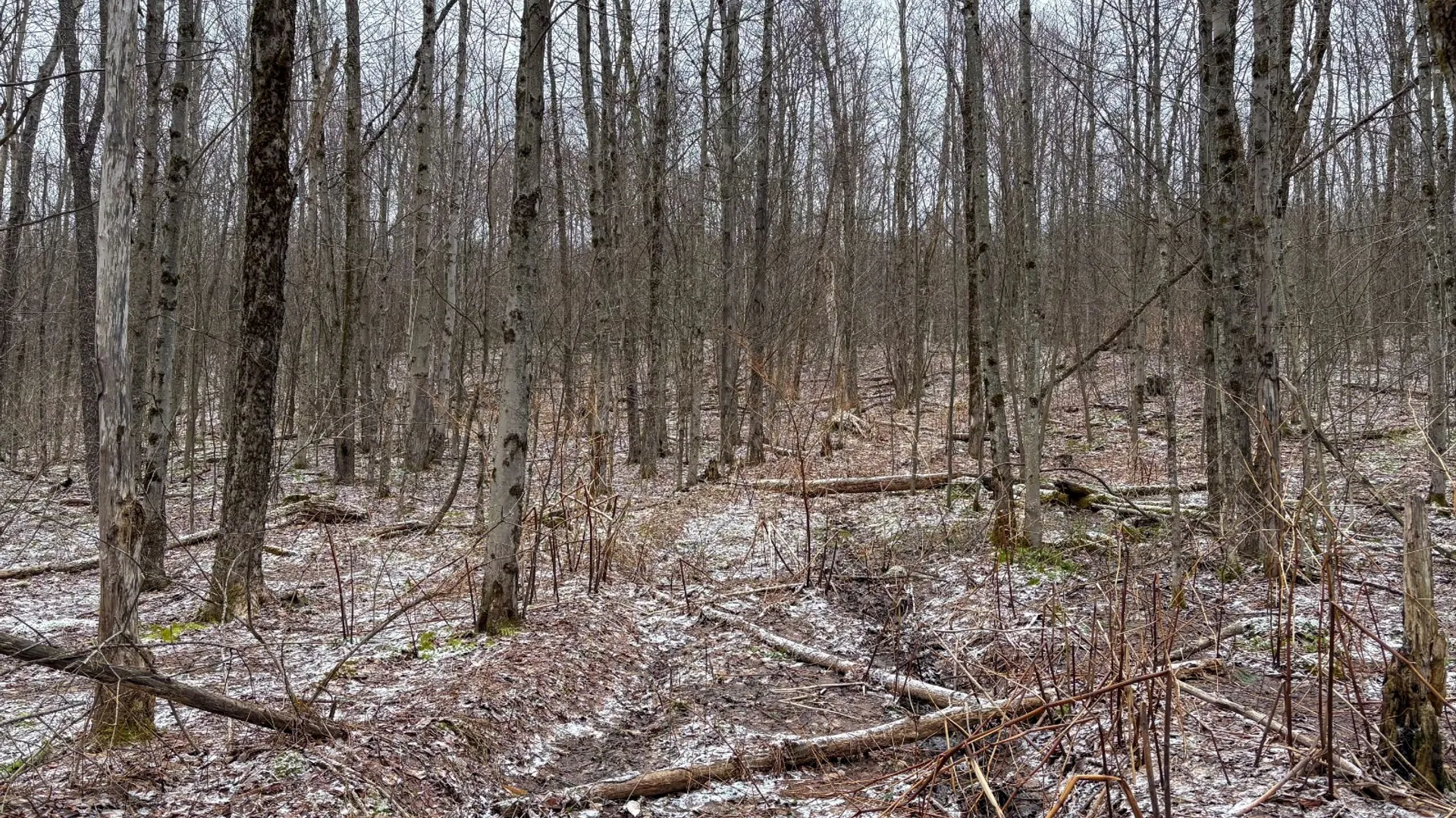 Property at 154 Walker Rd, Nineveh, NY 13813 15