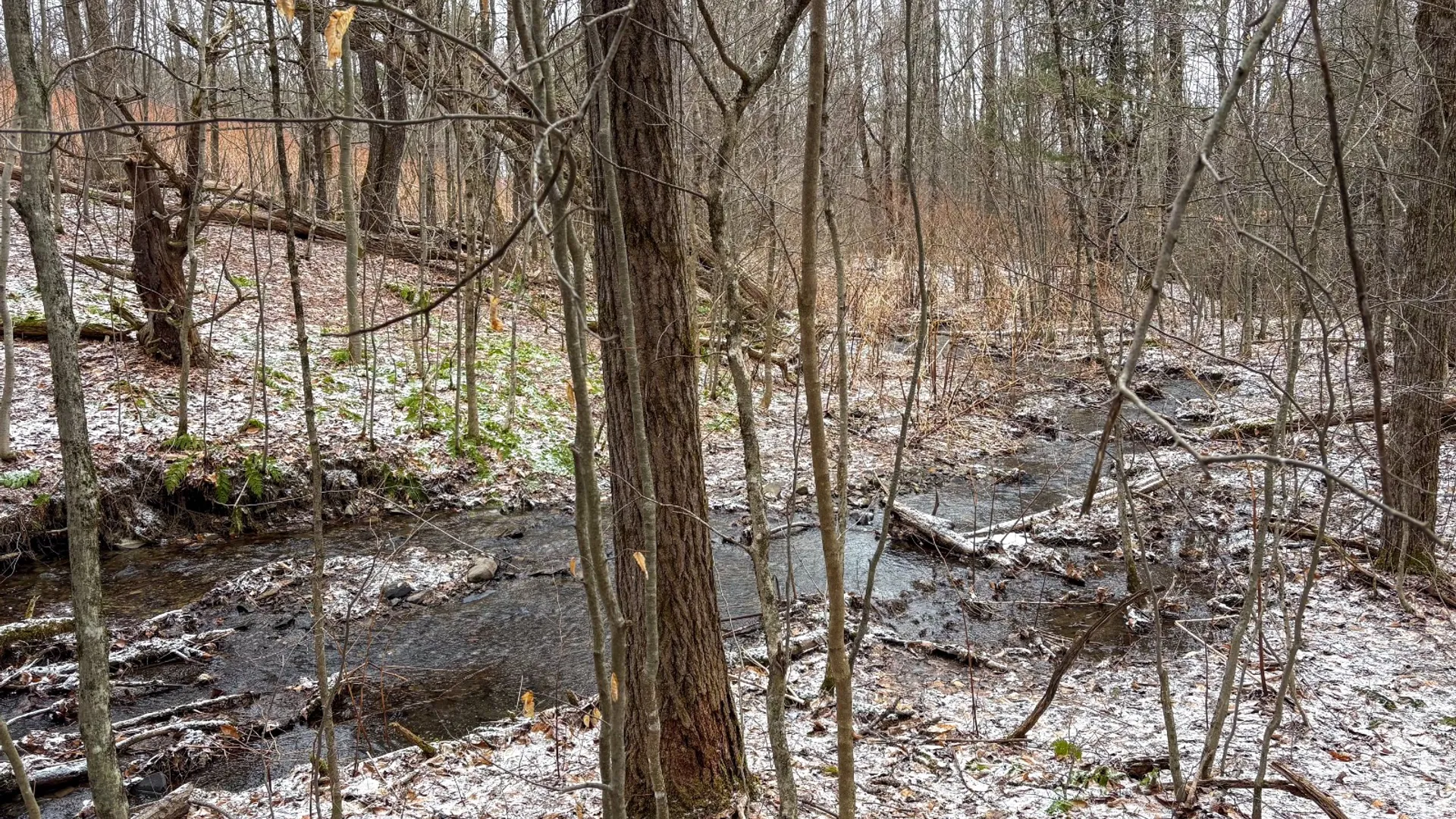 Property at 154 Walker Rd, Nineveh, NY 13813 16