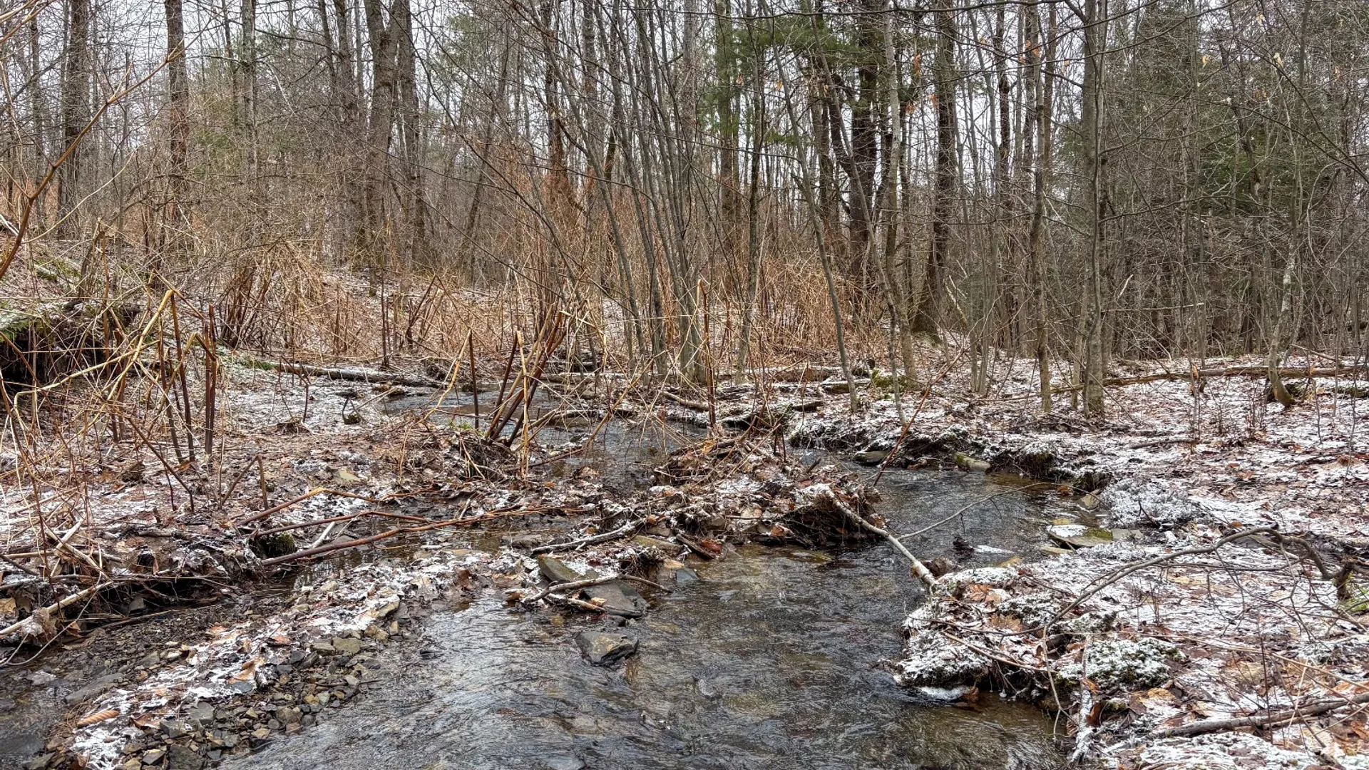 Property at 154 Walker Rd, Nineveh, NY 13813 18