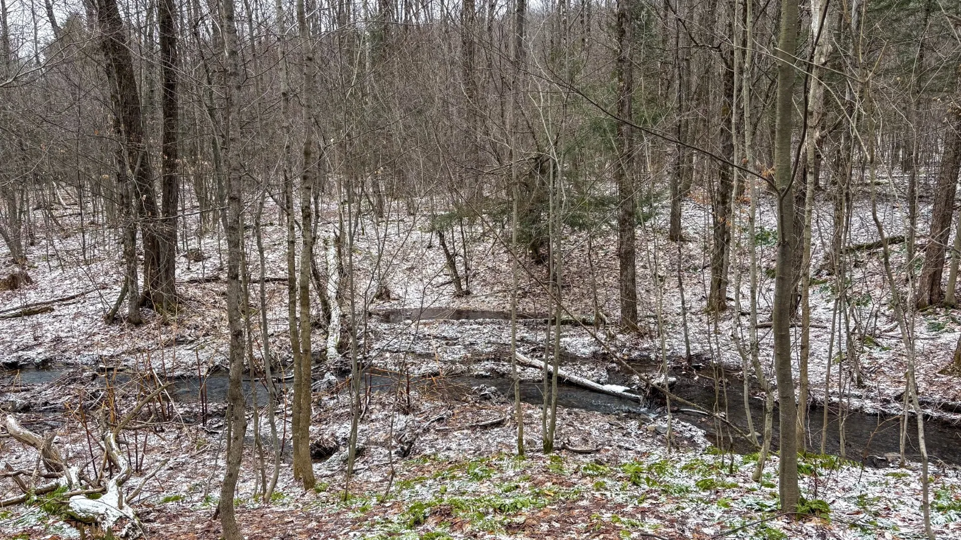 Property at 154 Walker Rd, Nineveh, NY 13813 19