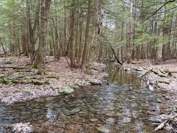 Property at 154 Walker Rd, Nineveh, NY 13813