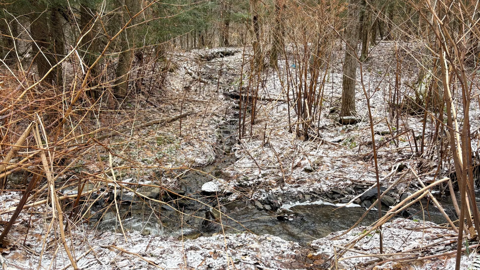 Property at 154 Walker Rd, Nineveh, NY 13813 2