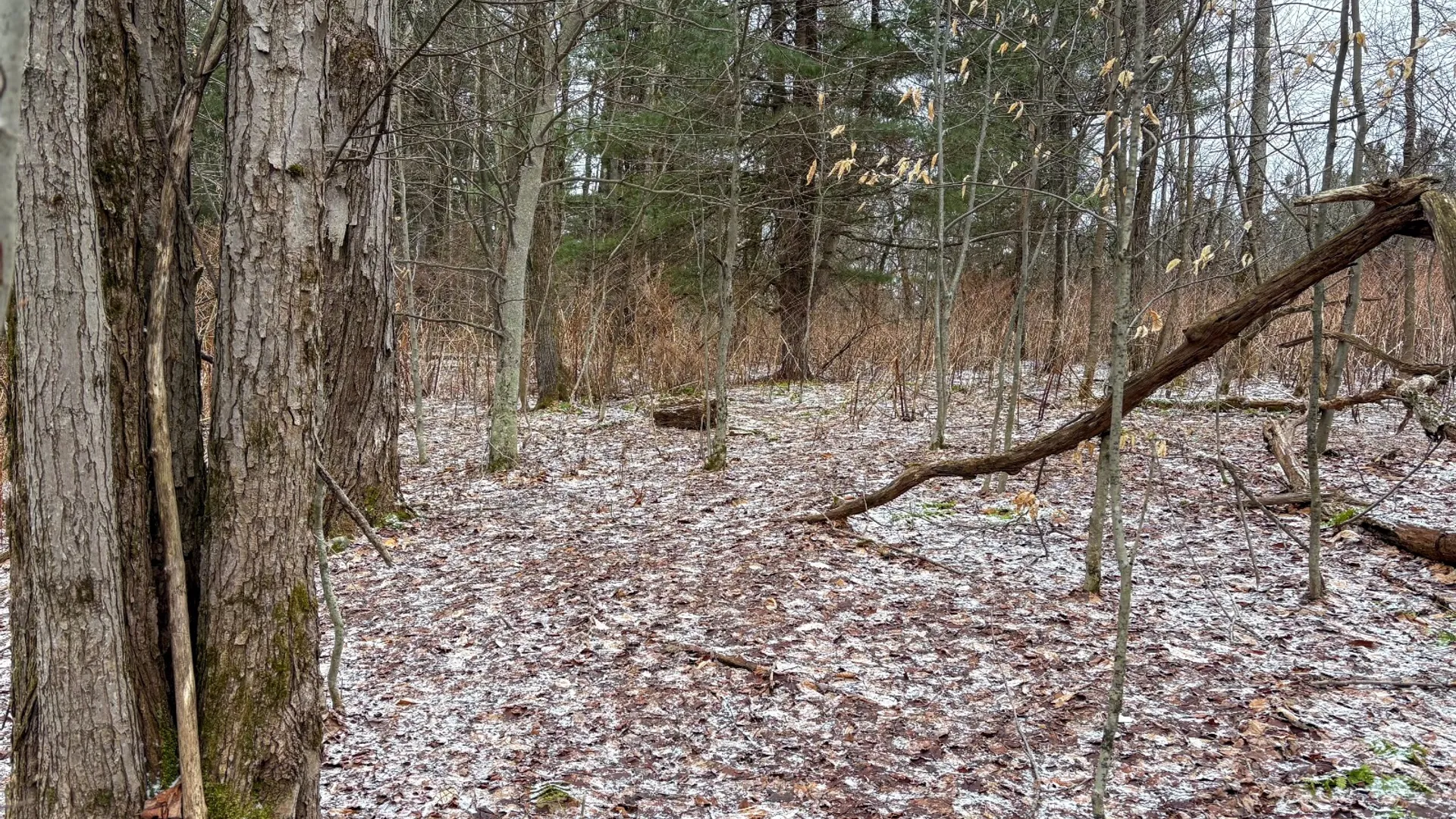 Property at 154 Walker Rd, Nineveh, NY 13813 20