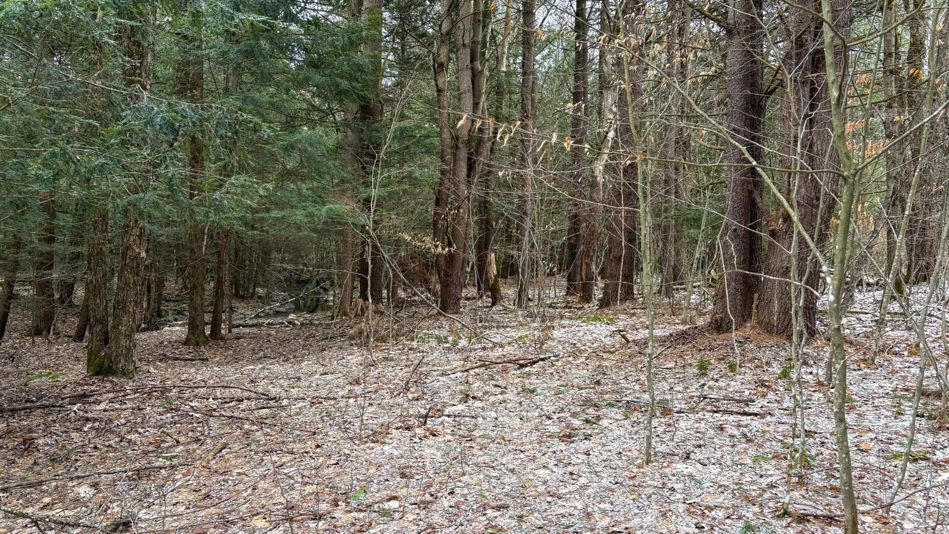 Property at 154 Walker Rd, Nineveh, NY 13813 21