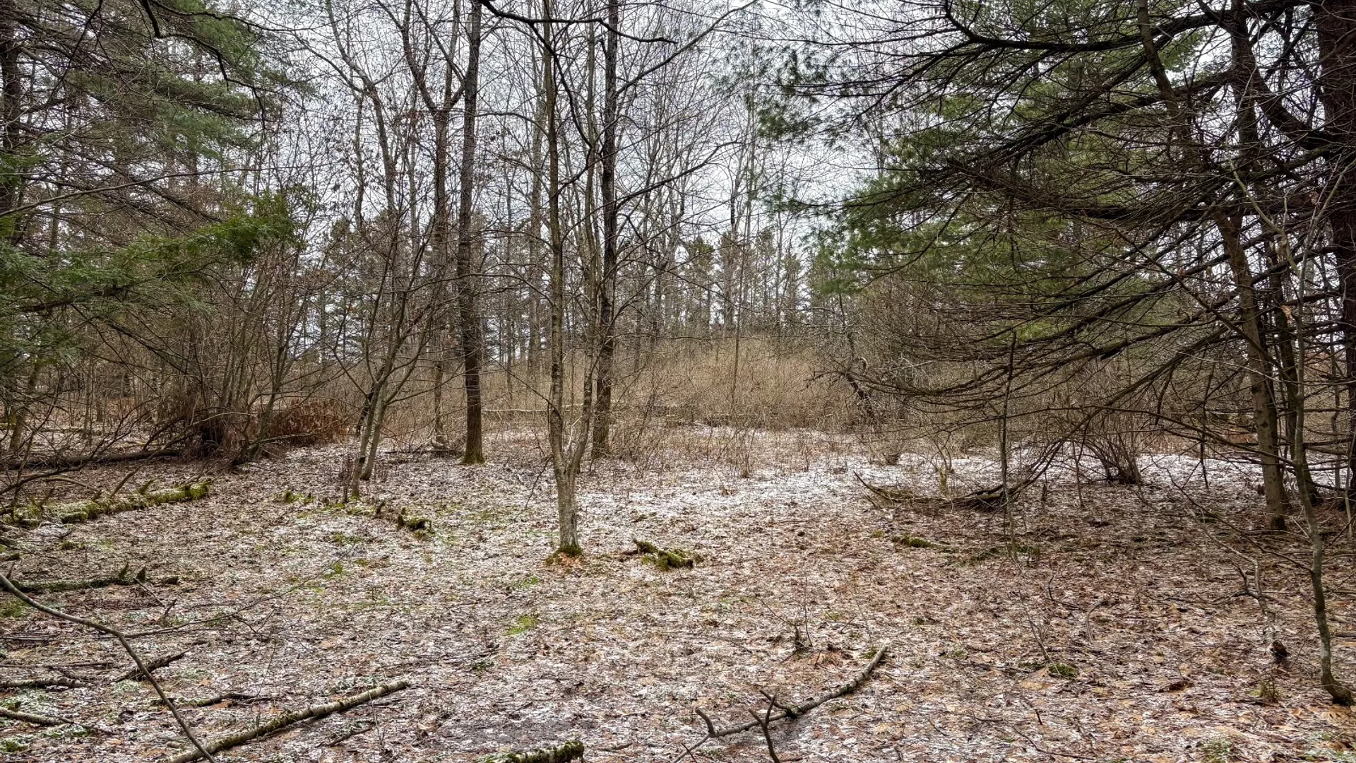 Property at 154 Walker Rd, Nineveh, NY 13813 22