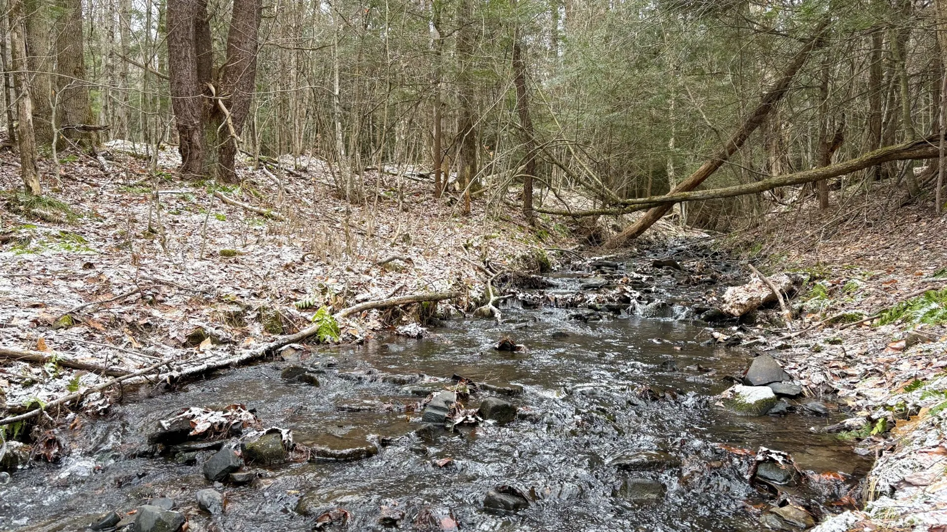 Property at 154 Walker Rd, Nineveh, NY 13813 3