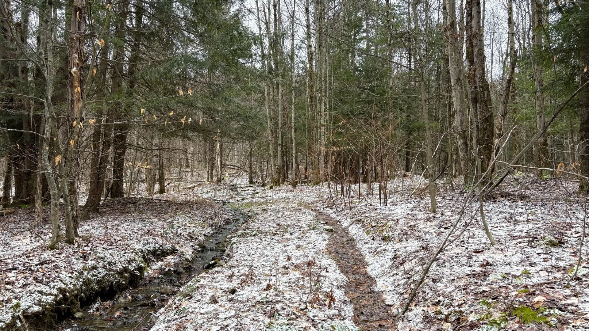 Property at 154 Walker Rd, Nineveh, NY 13813 5