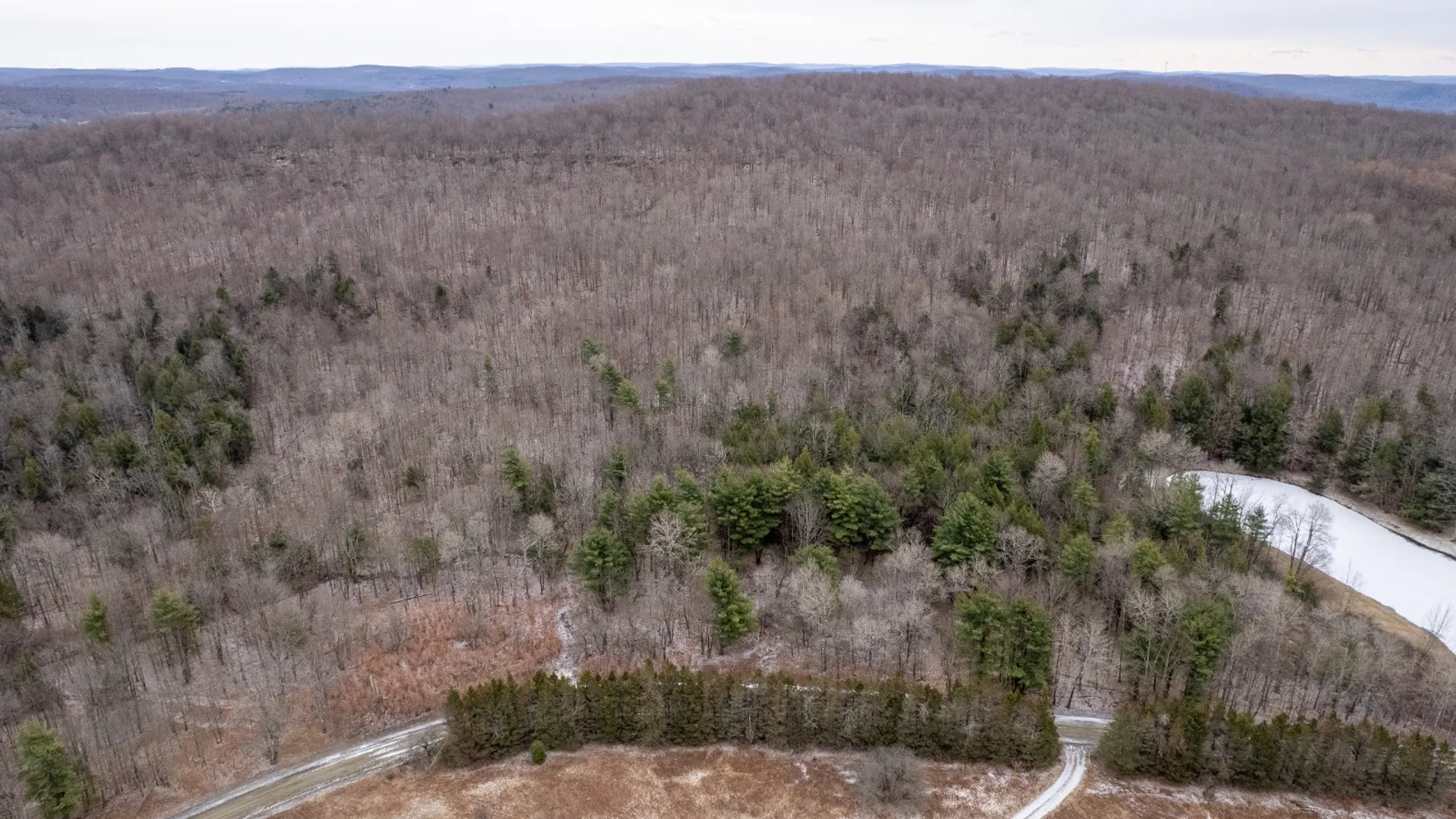 Property at 154 Walker Rd, Nineveh, NY 13813 6