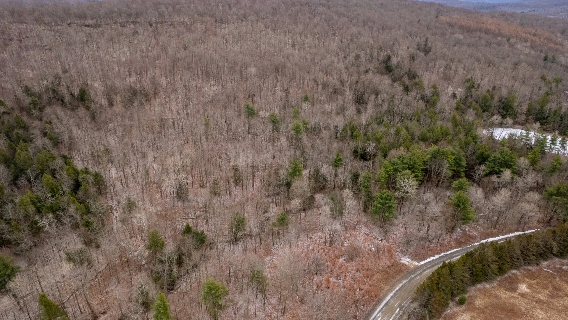 Property at 154 Walker Rd, Nineveh, NY 13813 8