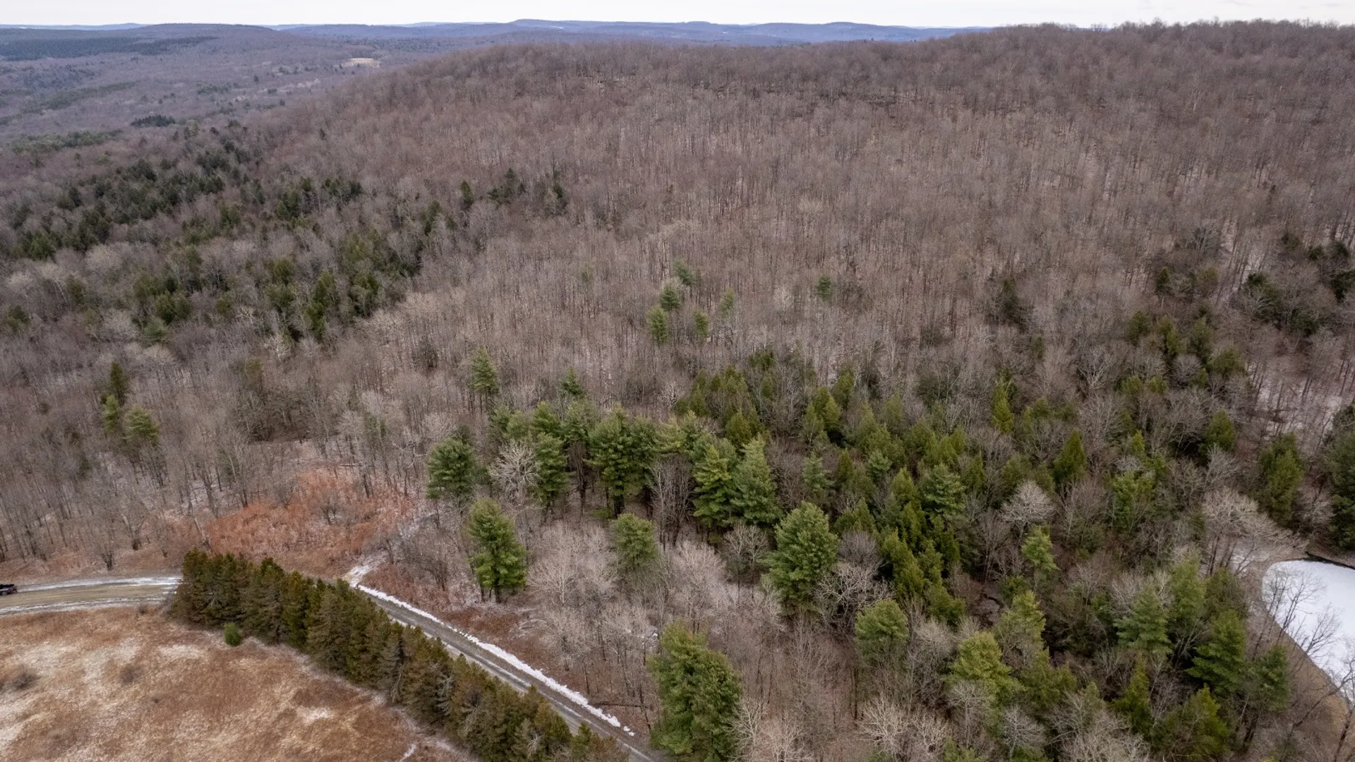 Property at 154 Walker Rd, Nineveh, NY 13813 9