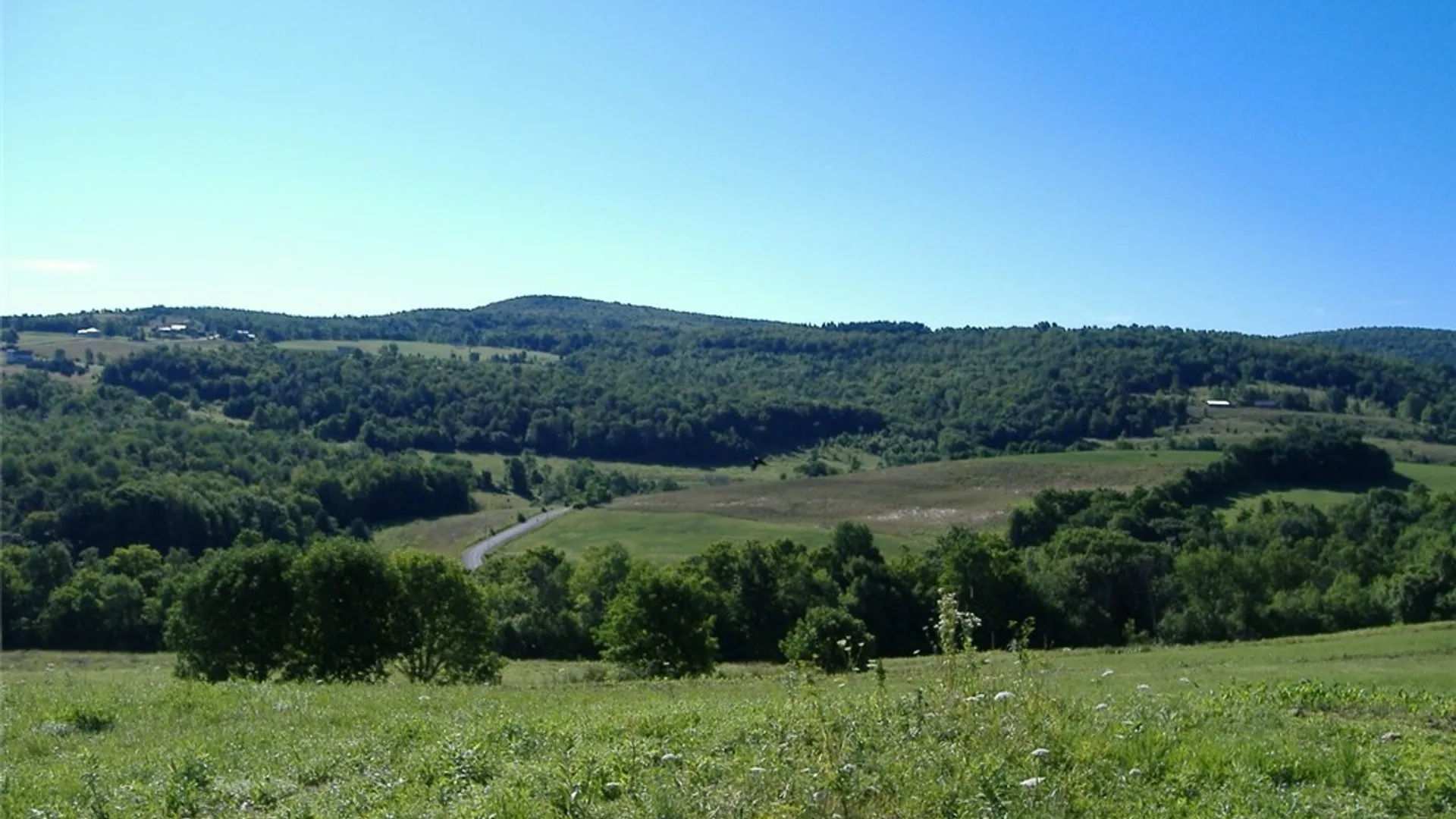 Property at Ploss Road, Richmondville, NY 12149 2