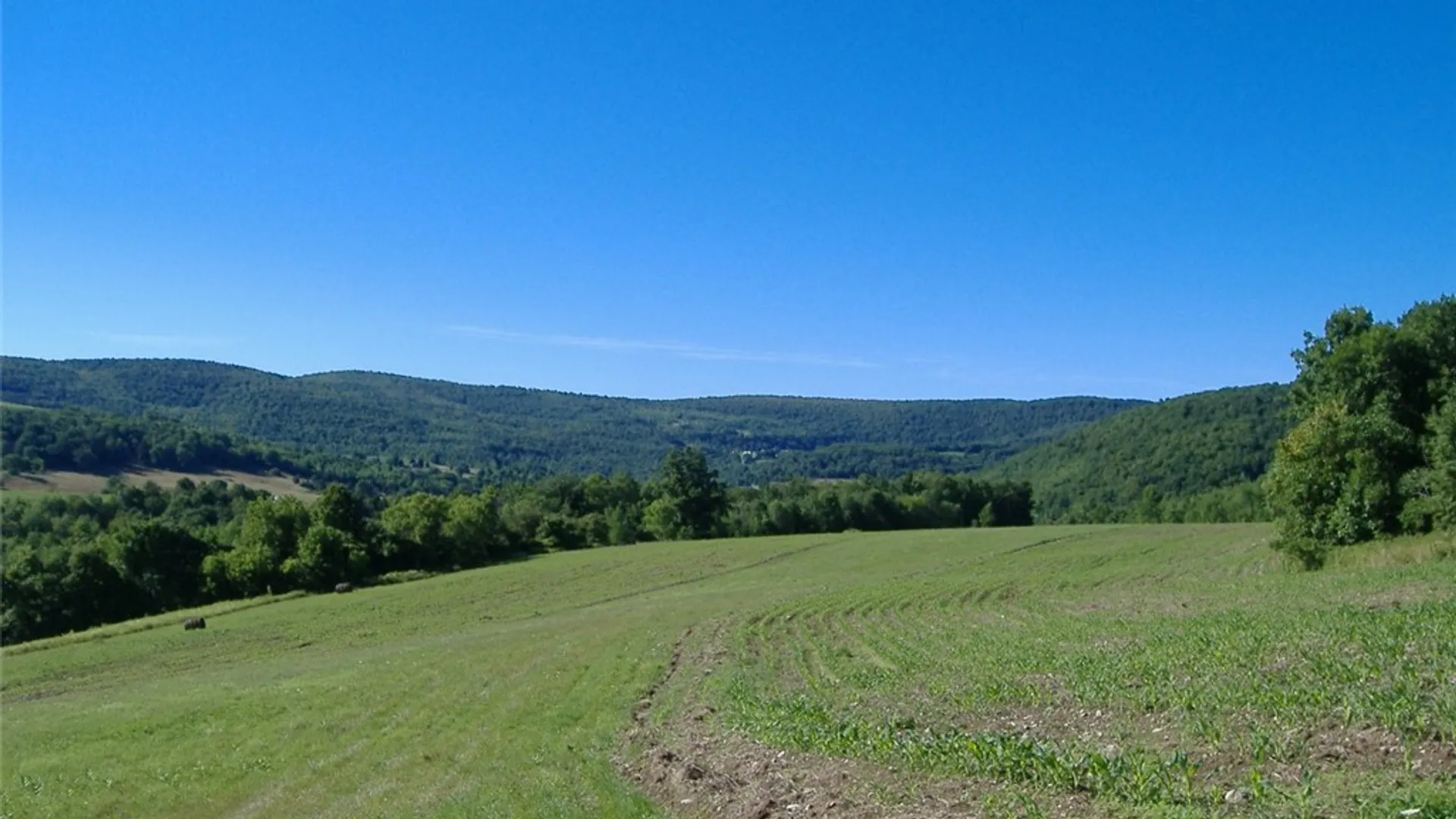 Property at Ploss Road, Richmondville, NY 12149 3