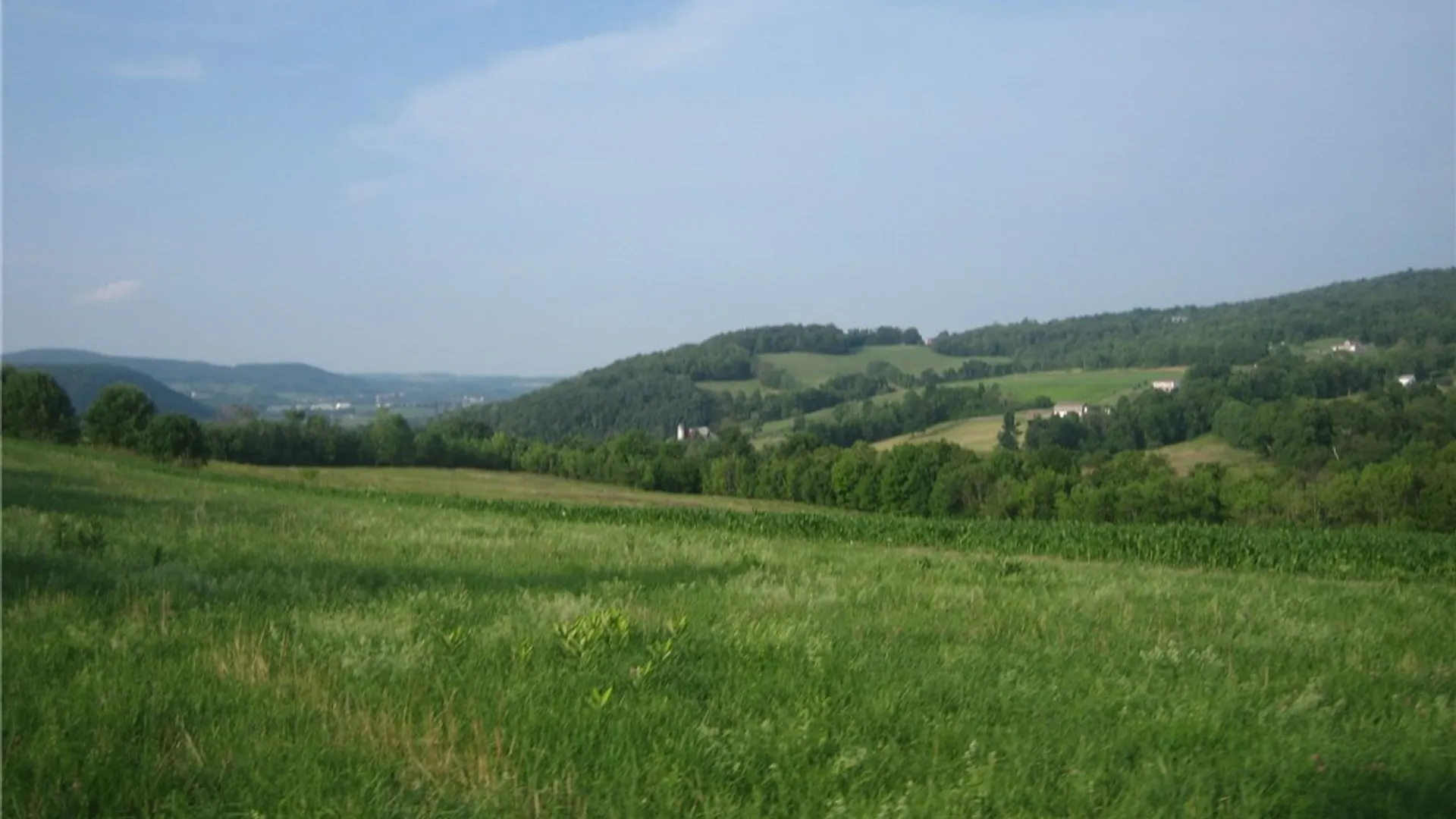 Property at Ploss Road, Richmondville, NY 12149 4
