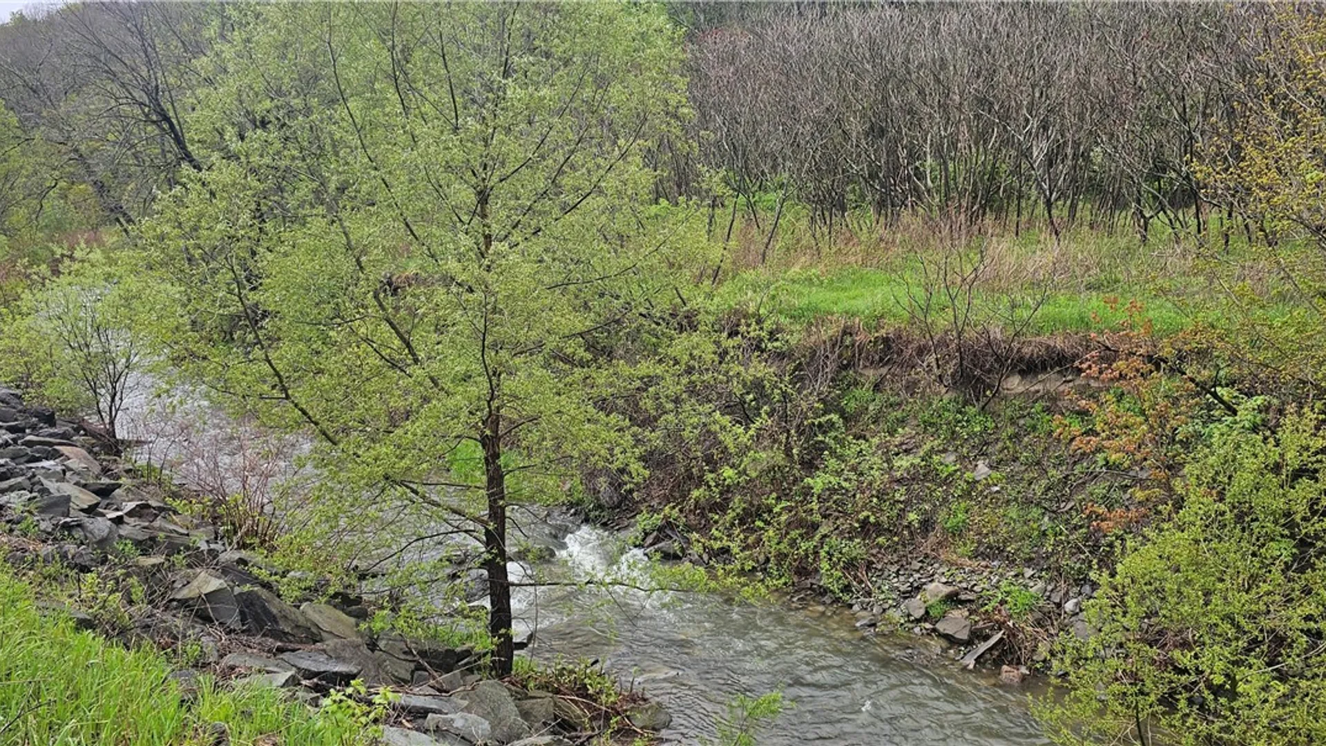 Property at Ploss Road, Richmondville, NY 12149 5