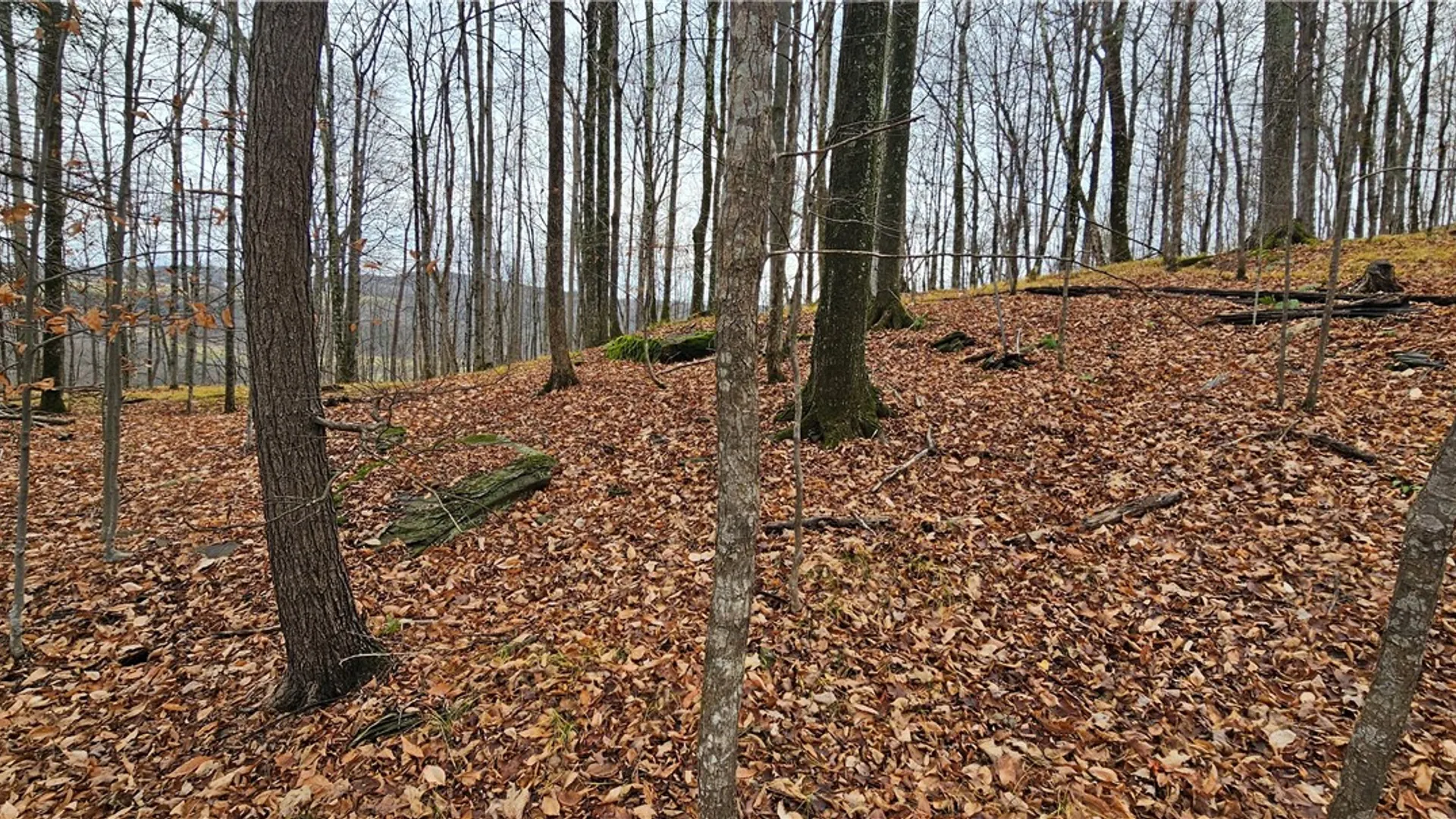 Property at Ploss Road, Richmondville, NY 12149 6