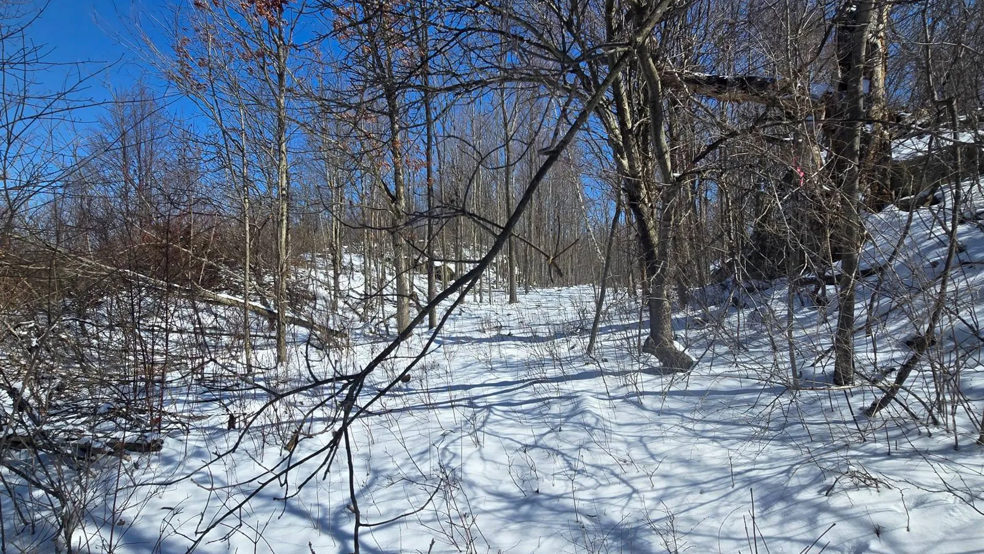 Property at 00 Lashure Rd., Gouverneur, NY 13642 14