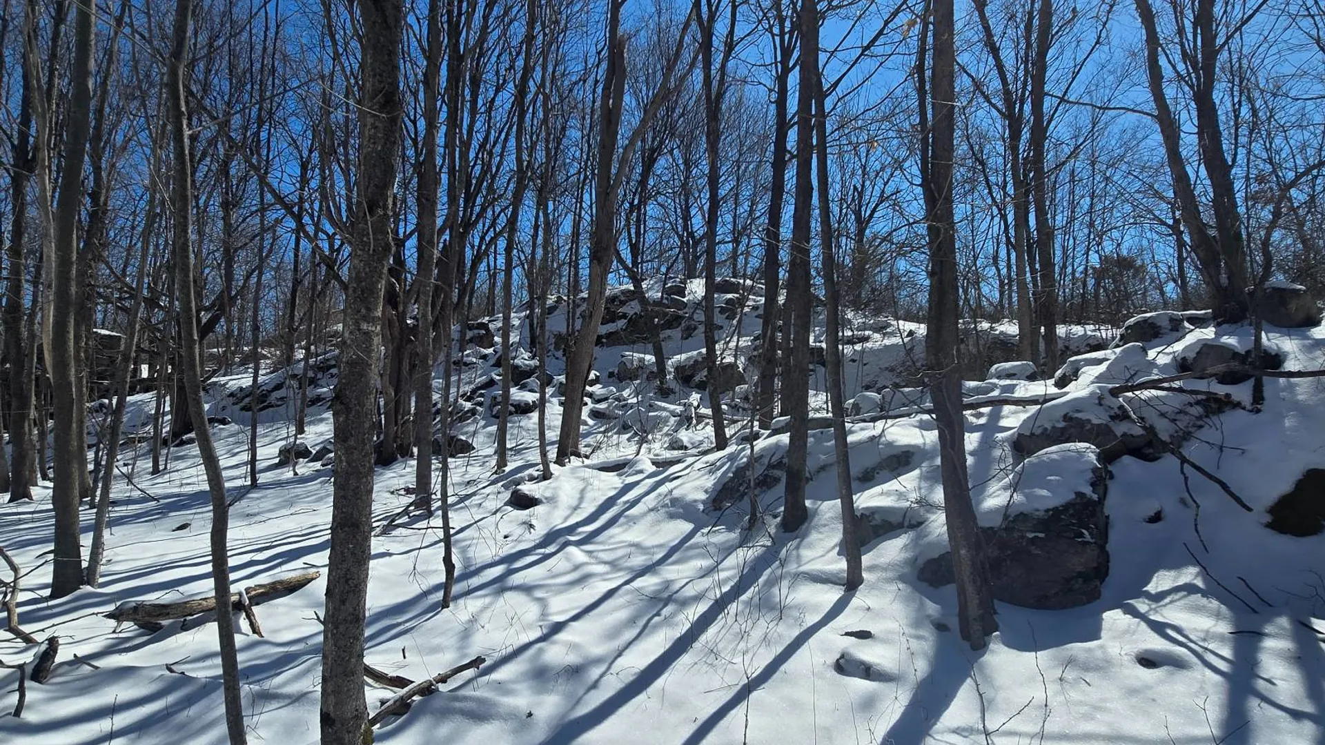 Property at 00 Lashure Rd., Gouverneur, NY 13642 16