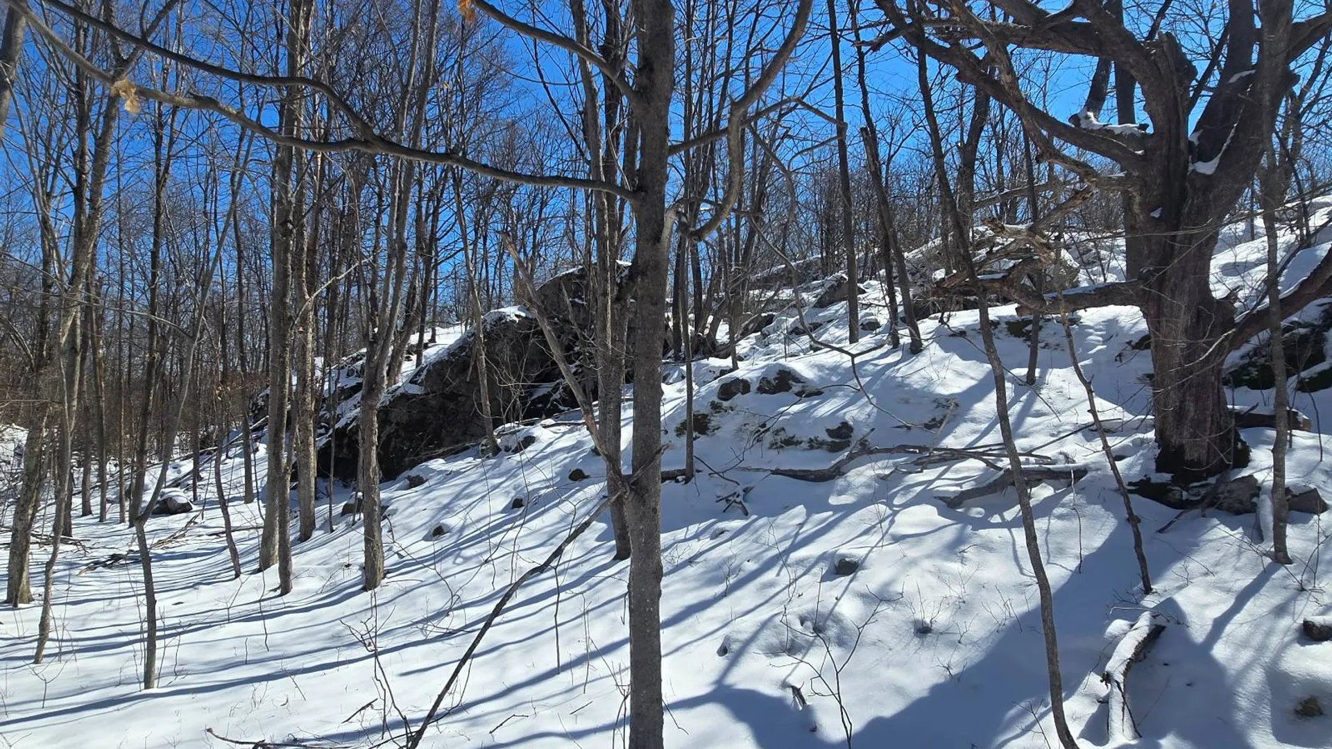 Property at 00 Lashure Rd., Gouverneur, NY 13642 17