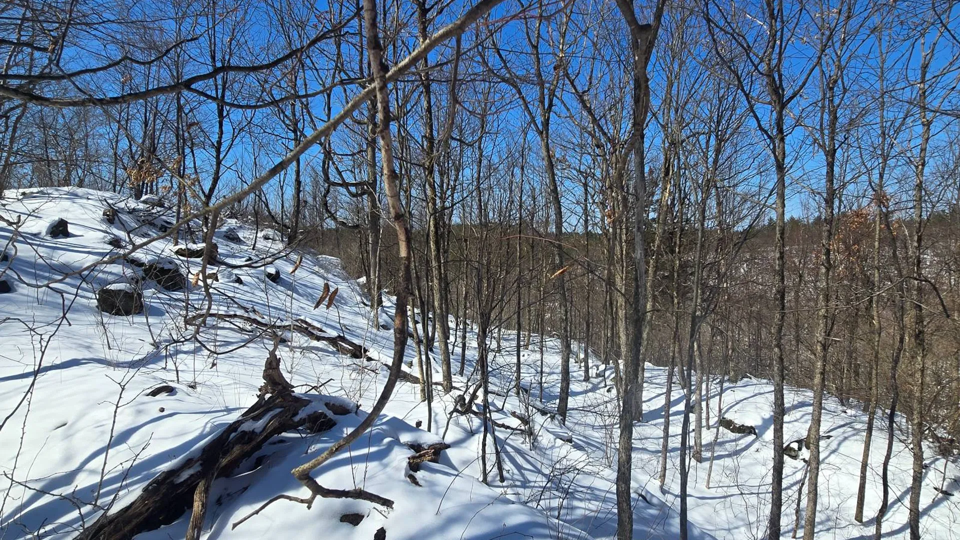Property at 00 Lashure Rd., Gouverneur, NY 13642 4