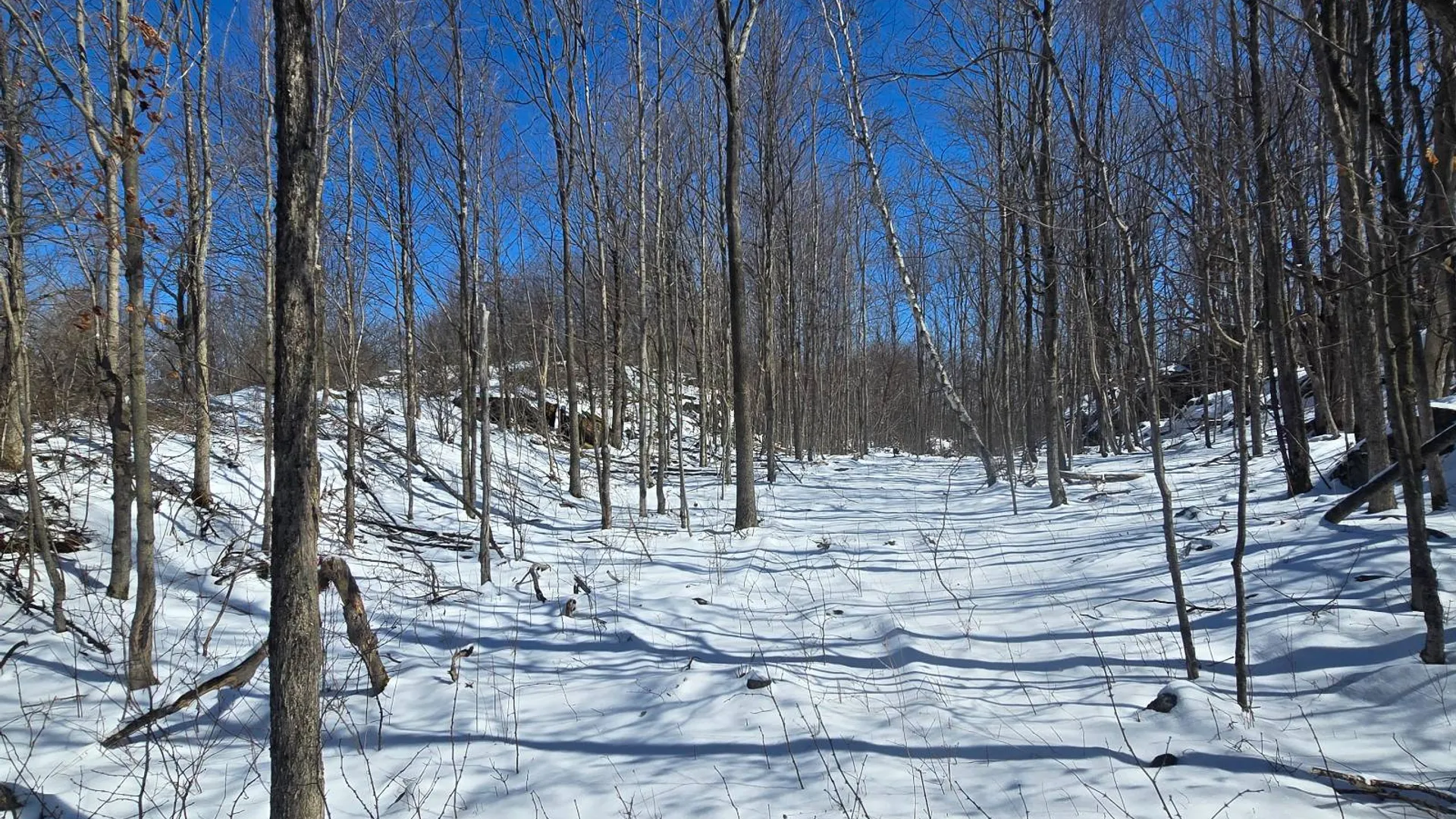 Property at 00 Lashure Rd., Gouverneur, NY 13642 5