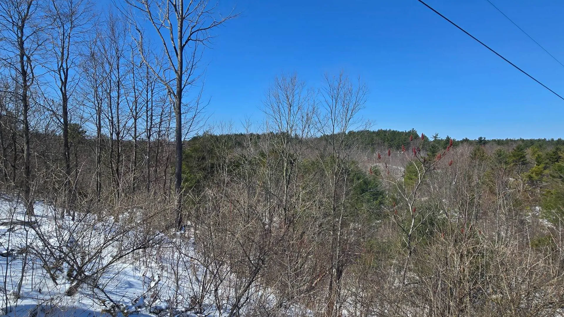 Property at 00 Lashure Rd., Gouverneur, NY 13642 11