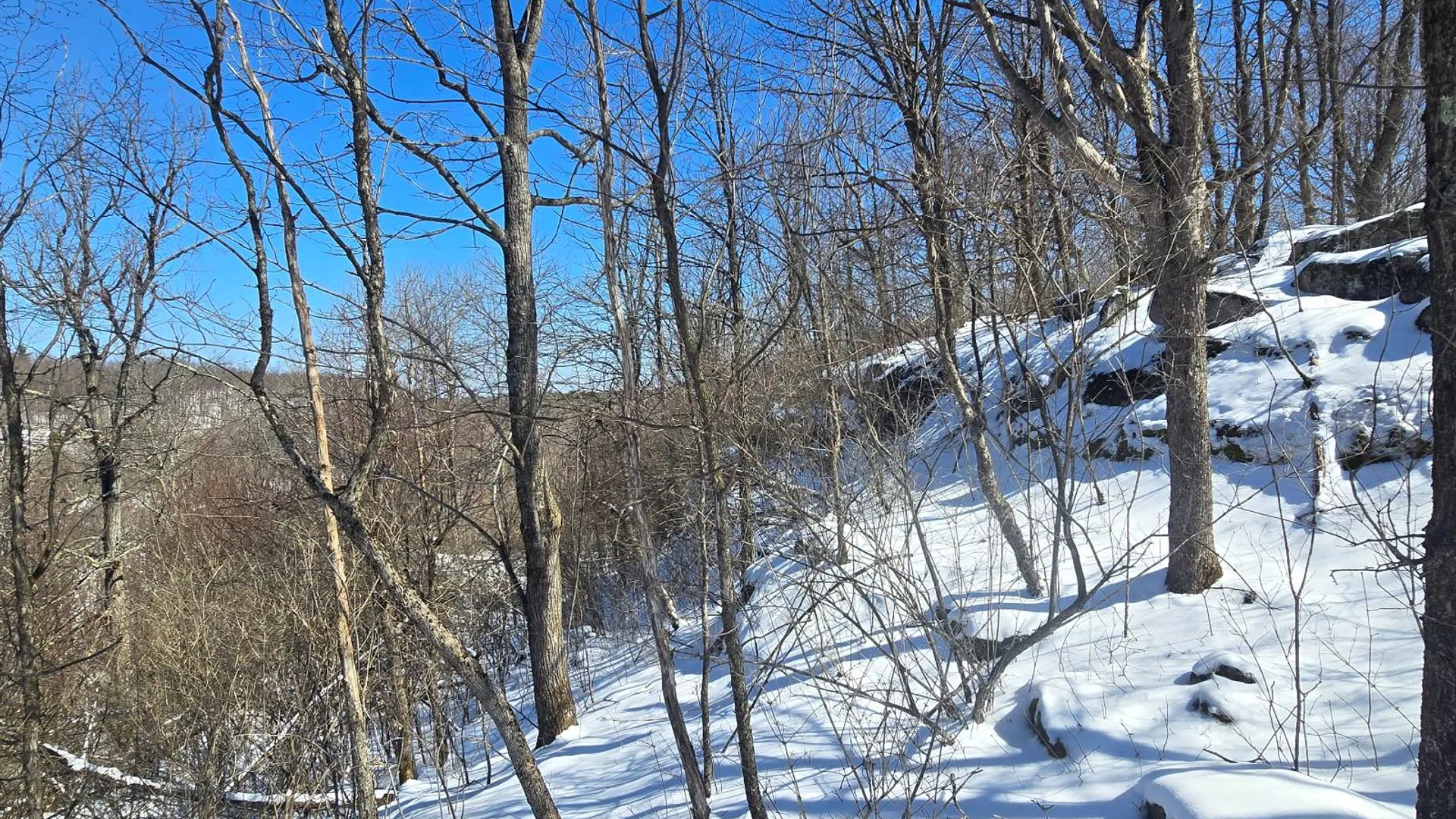 Property at 00 Lashure Rd., Gouverneur, NY 13642 14