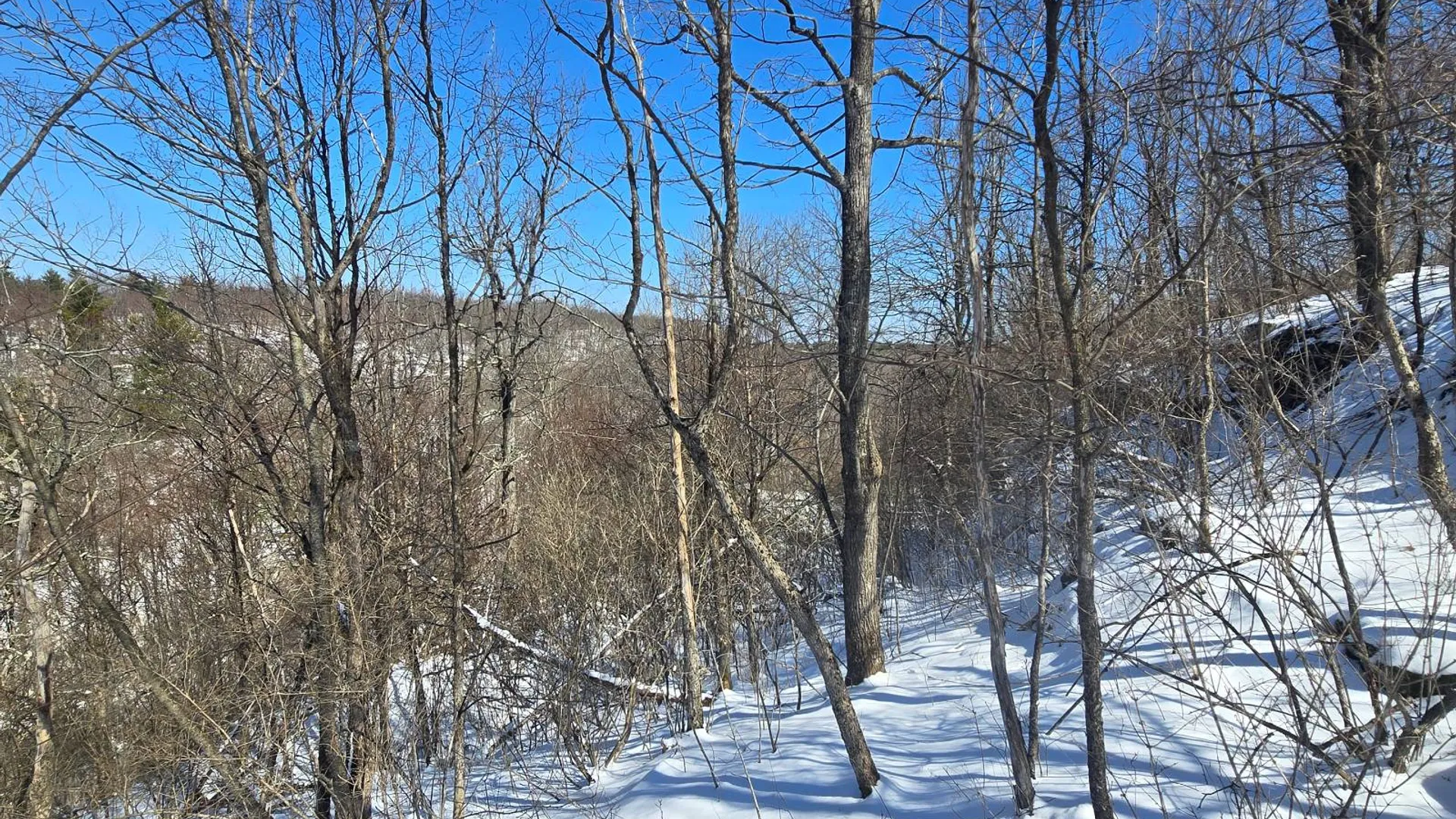 Property at 00 Lashure Rd., Gouverneur, NY 13642 3