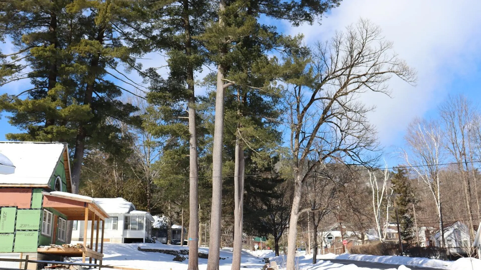 Property at 81 McGillis Avenue, Lake George, NY 12845 44