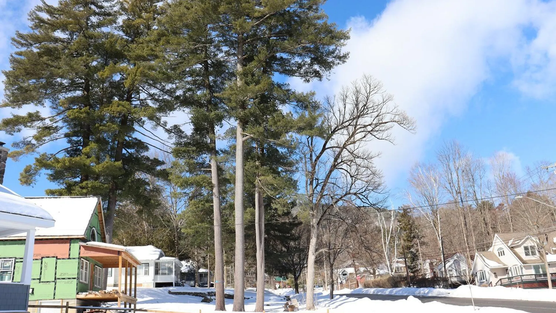 Property at 81 McGillis Avenue, Lake George, NY 12845 46