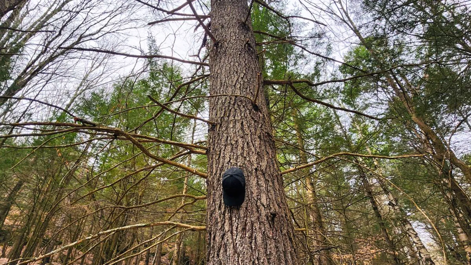 Property at 525 Meeghan Rd, Stamford, NY 12167 11