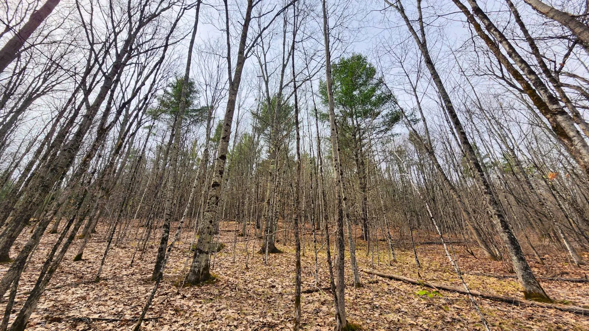 Property at 525 Meeghan Rd, Stamford, NY 12167 14