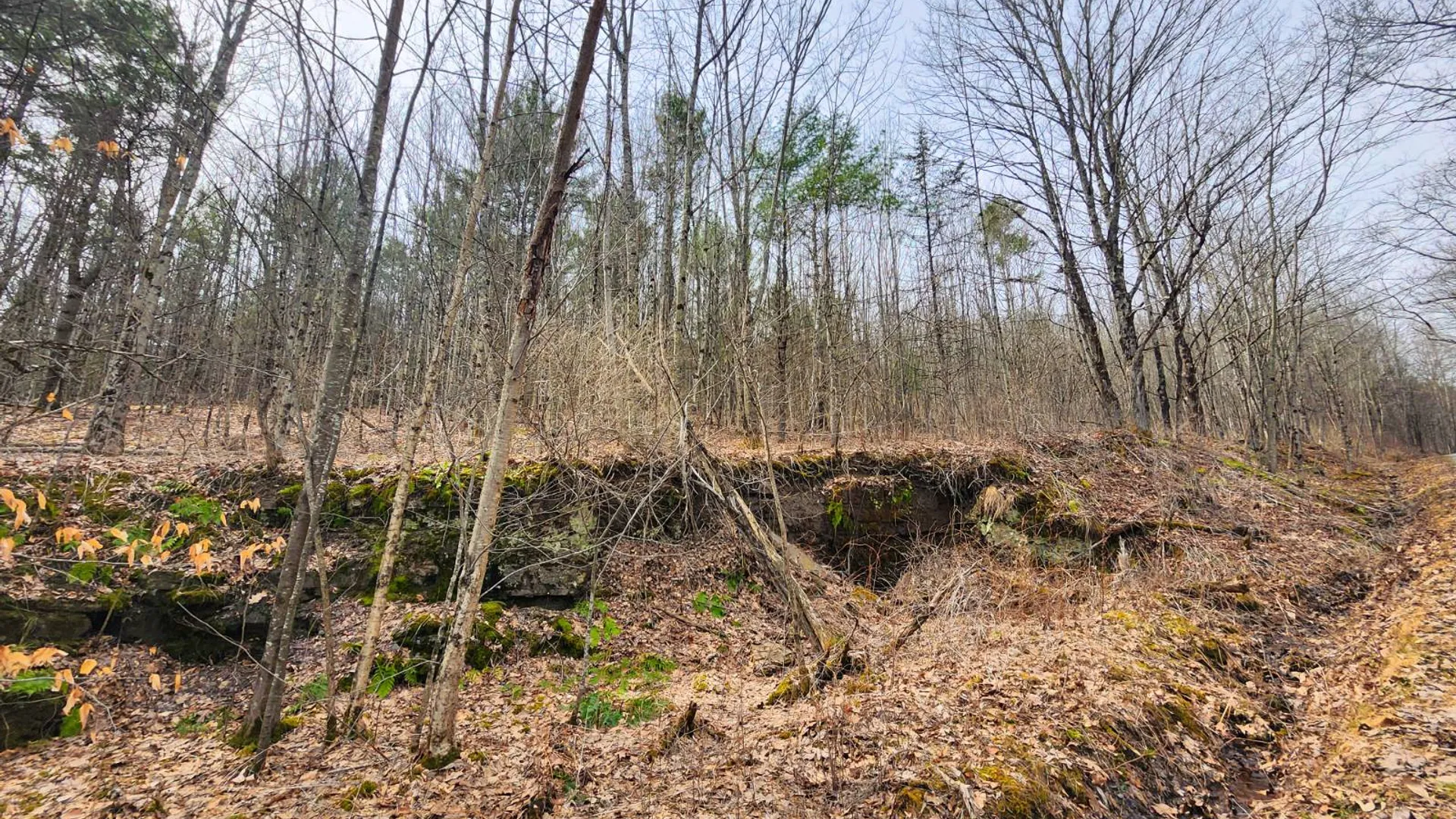 Property at 525 Meeghan Rd, Stamford, NY 12167 15