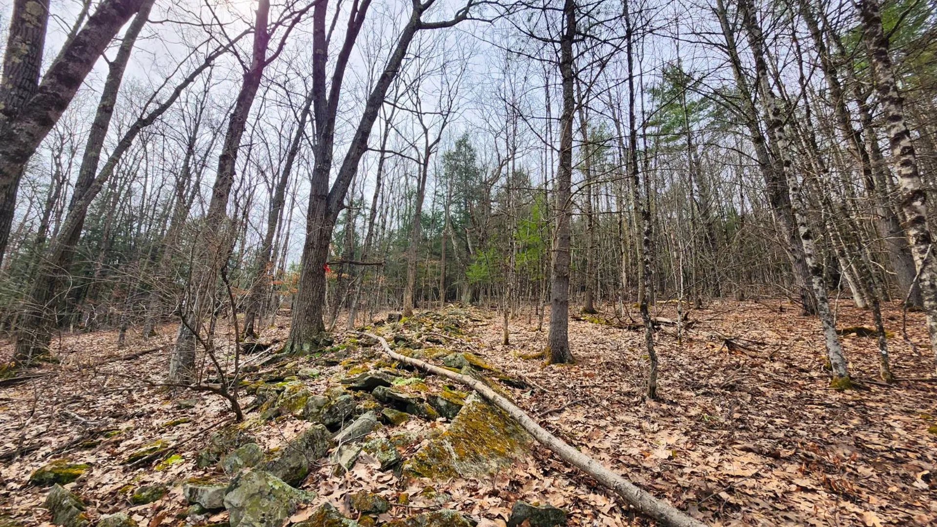 Property at 525 Meeghan Rd, Stamford, NY 12167 16