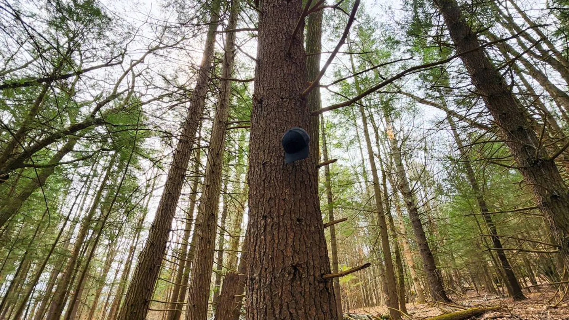 Property at 525 Meeghan Rd, Stamford, NY 12167 20